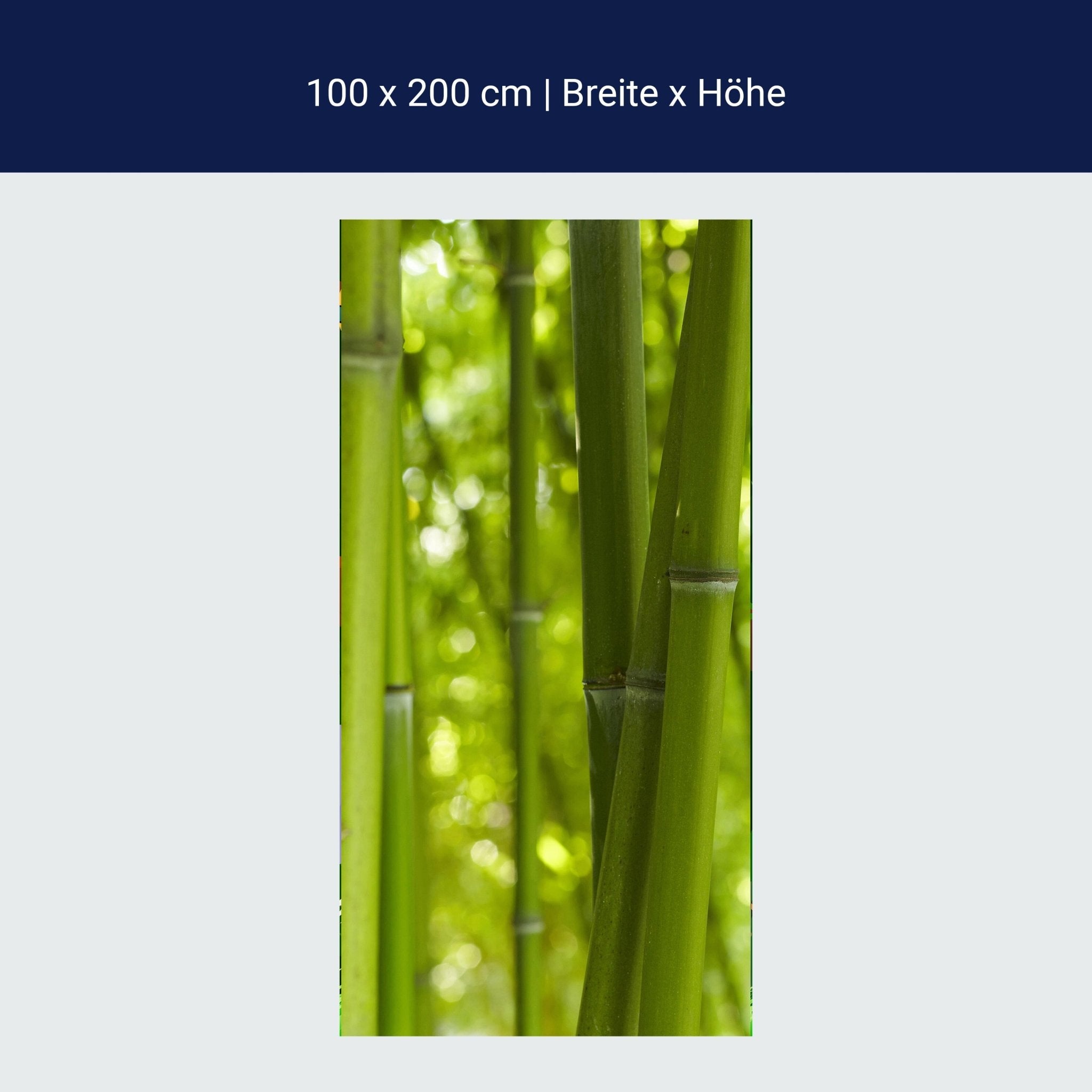 Türtapete Bambus M0003 Türtapete Bambus M0003