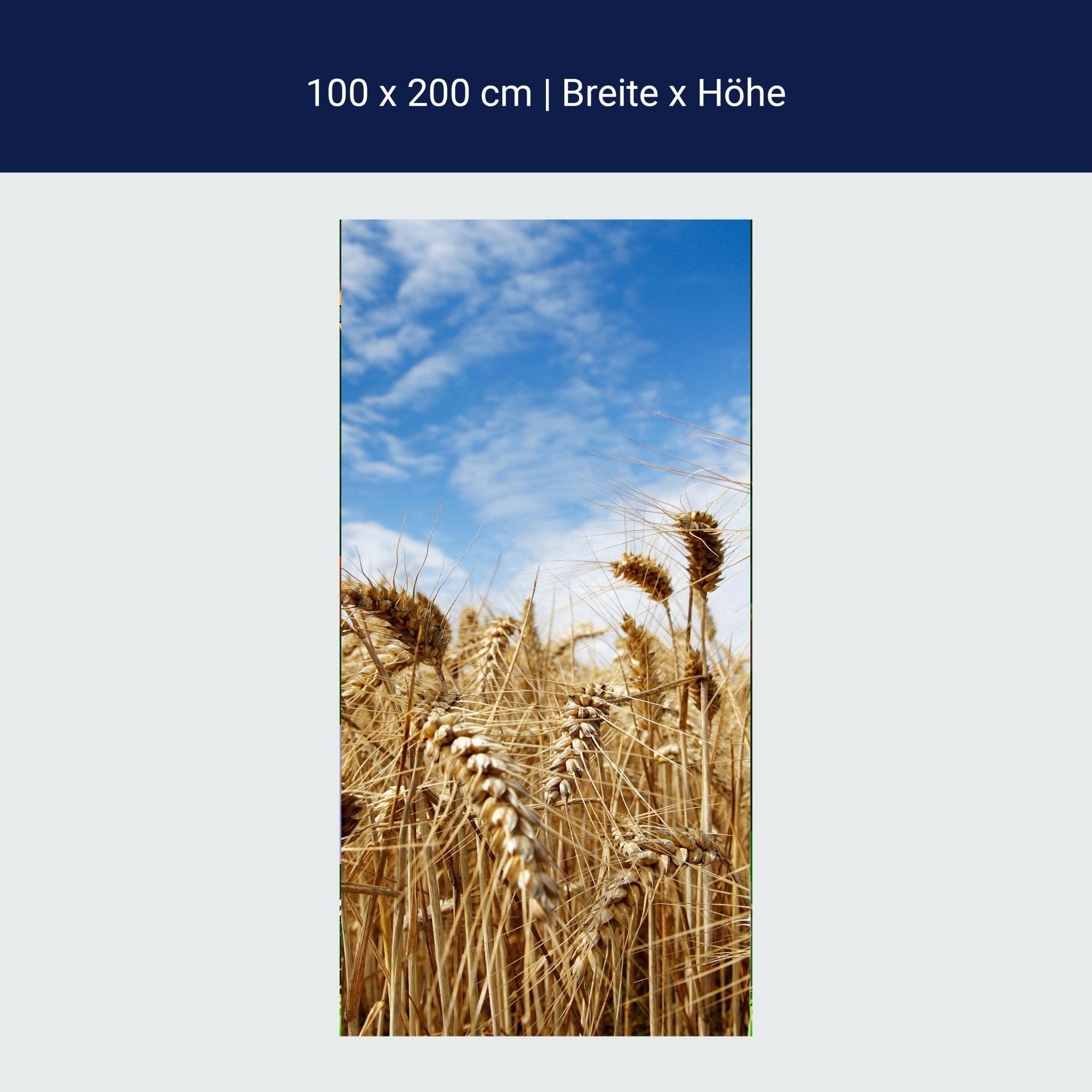 Türtapete Kornfeld M0009 Türtapete Kornfeld M0009
