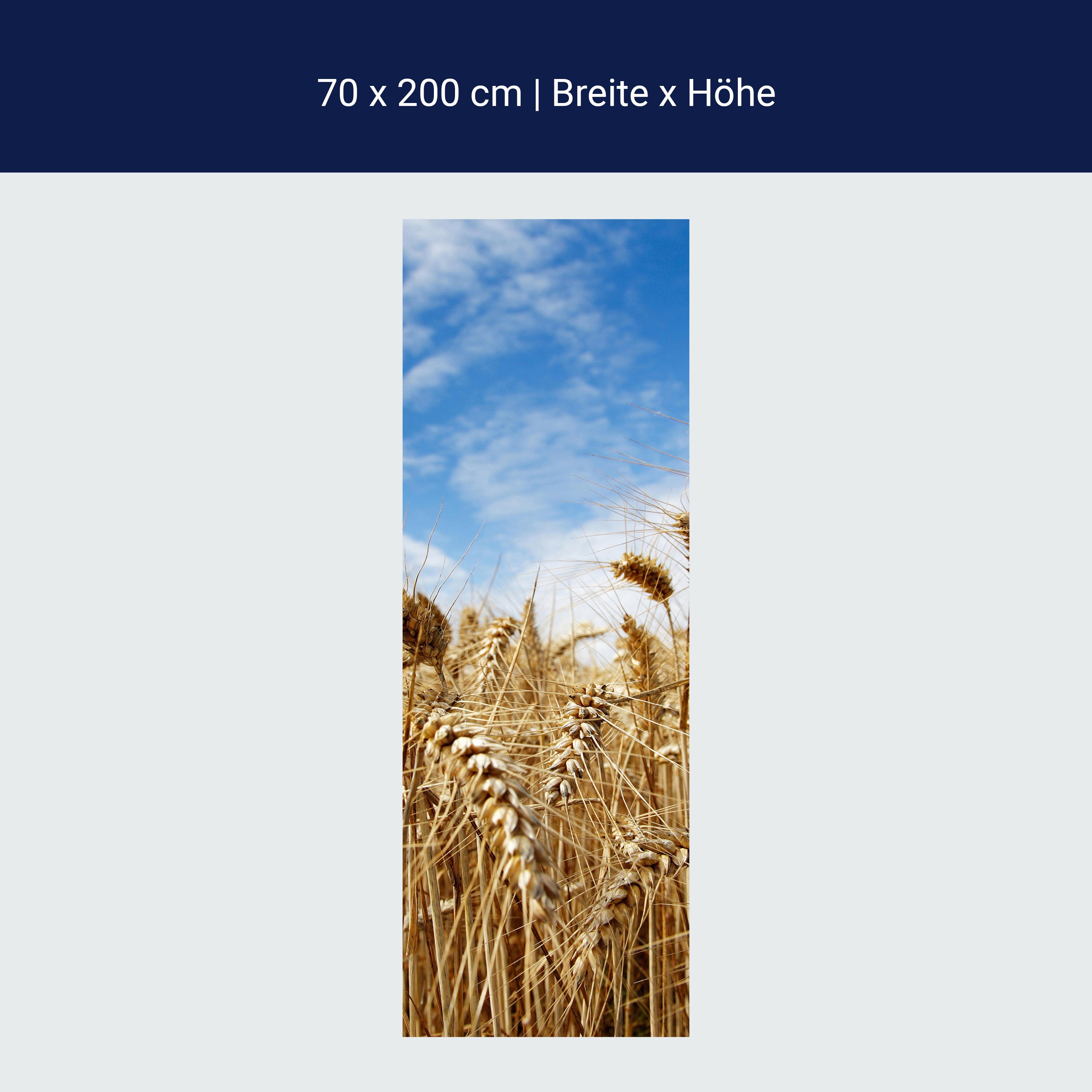 Türtapete Kornfeld M0009 Türtapete Kornfeld M0009