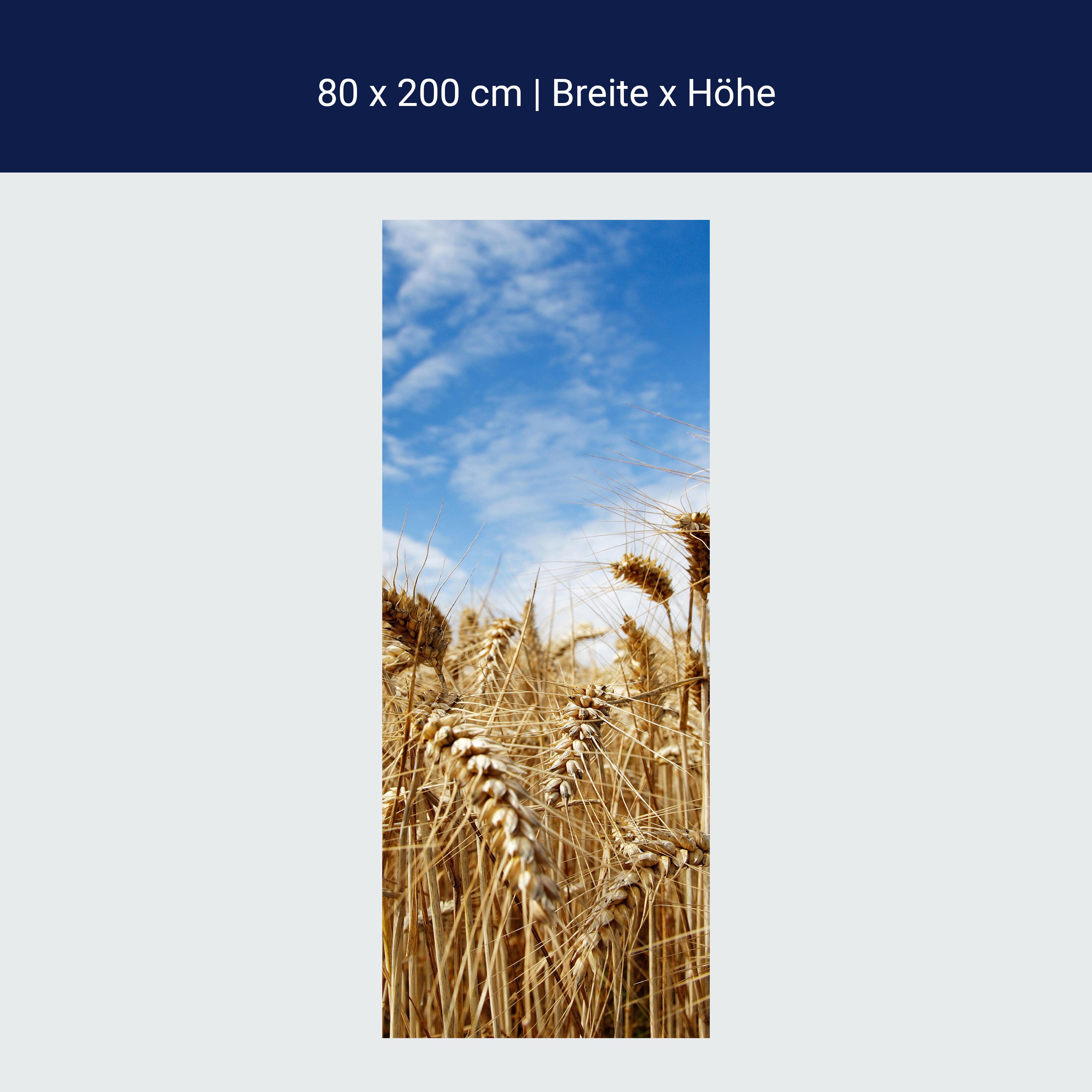 Türtapete Kornfeld M0009 Türtapete Kornfeld M0009