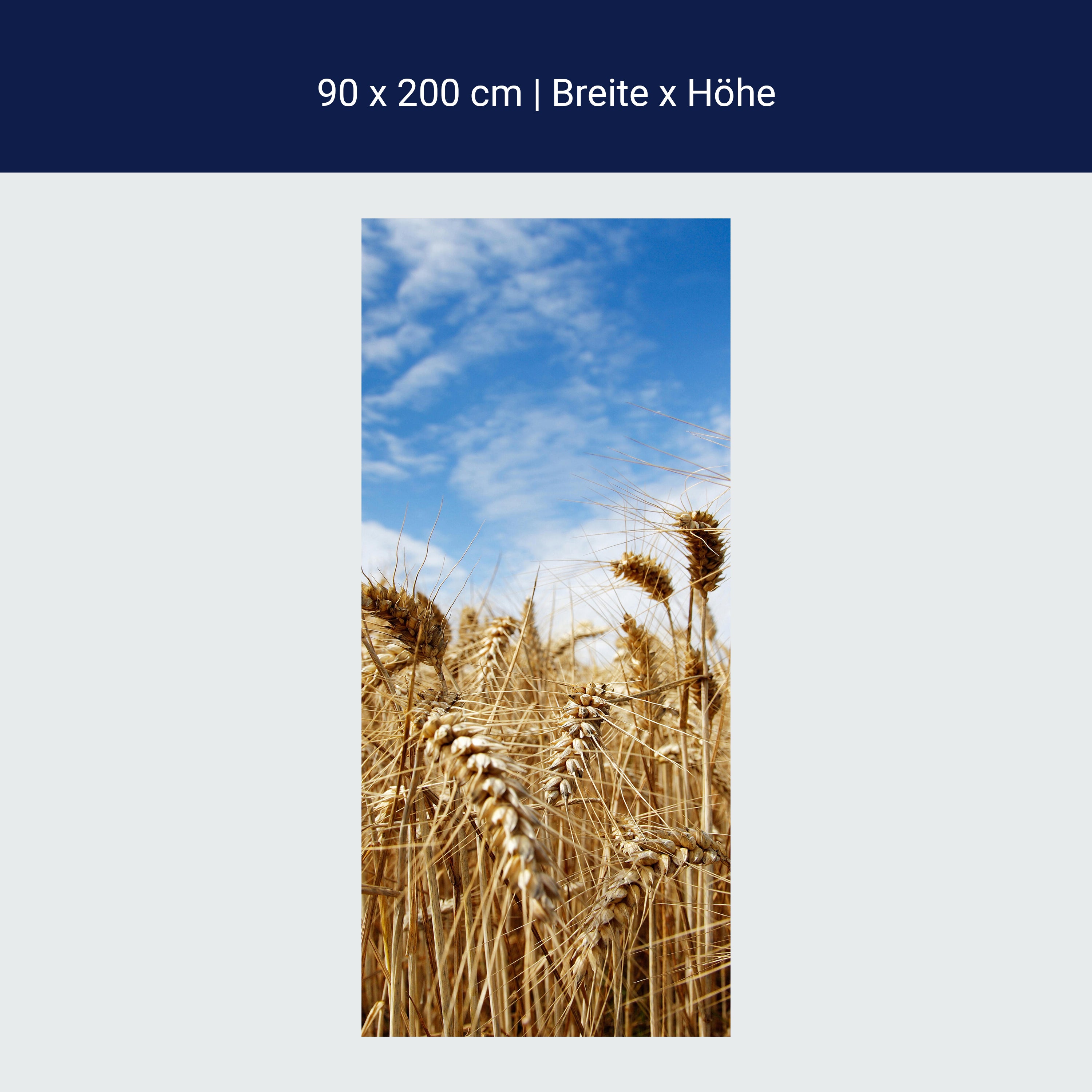 Türtapete Kornfeld M0009 Türtapete Kornfeld M0009