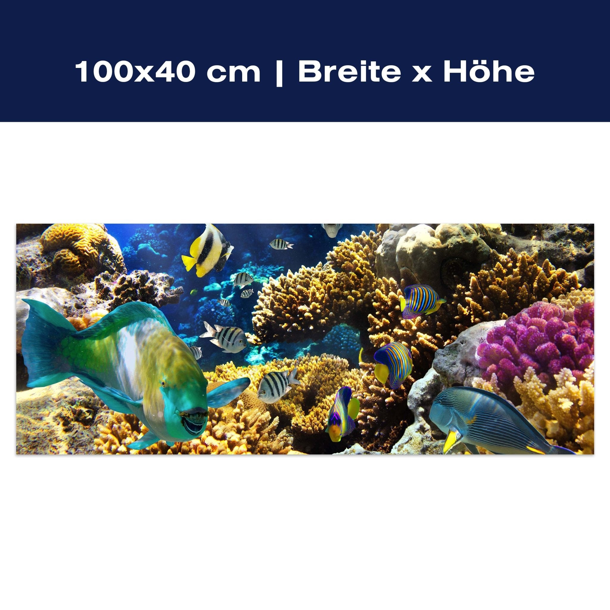 Leinwandbild Unterwasser M0011 Leinwandbild Unterwasser M0011