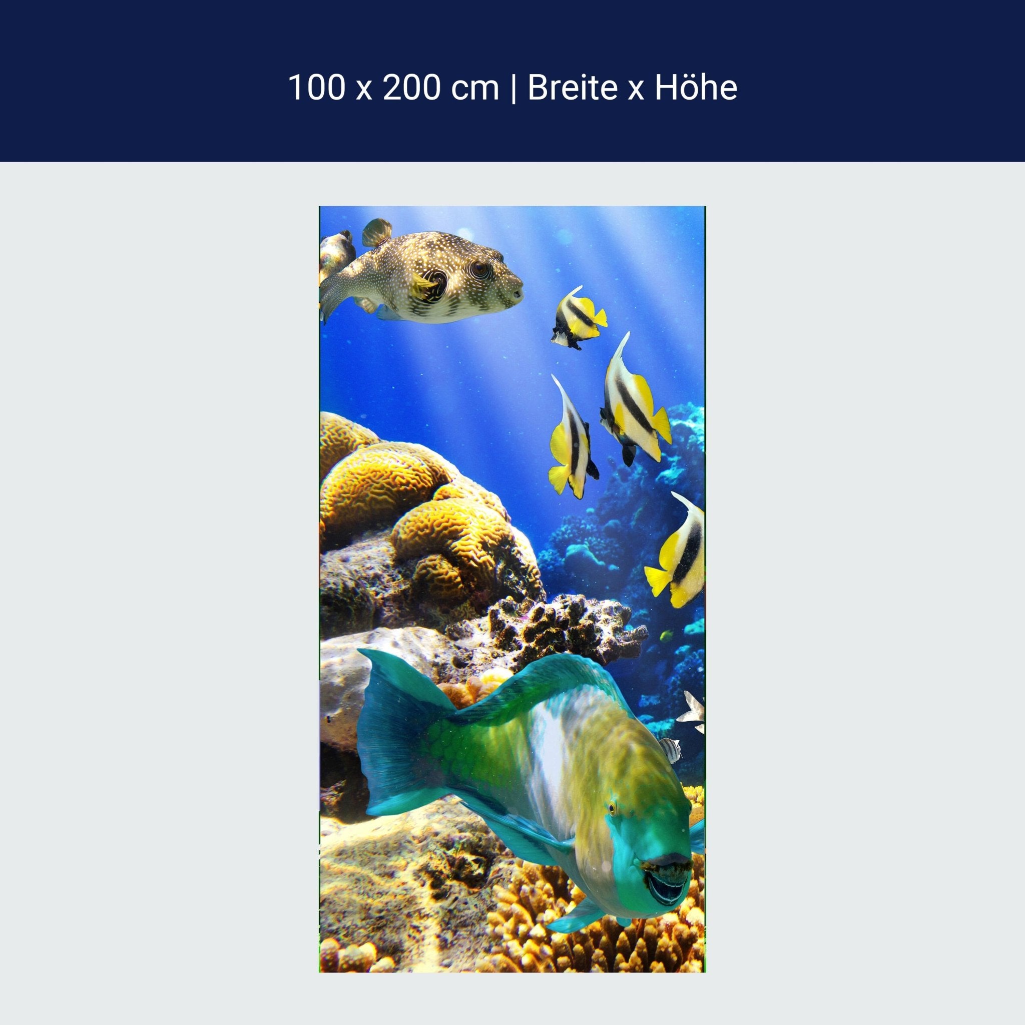 Türtapete Unterwasser M0011 Türtapete Unterwasser M0011