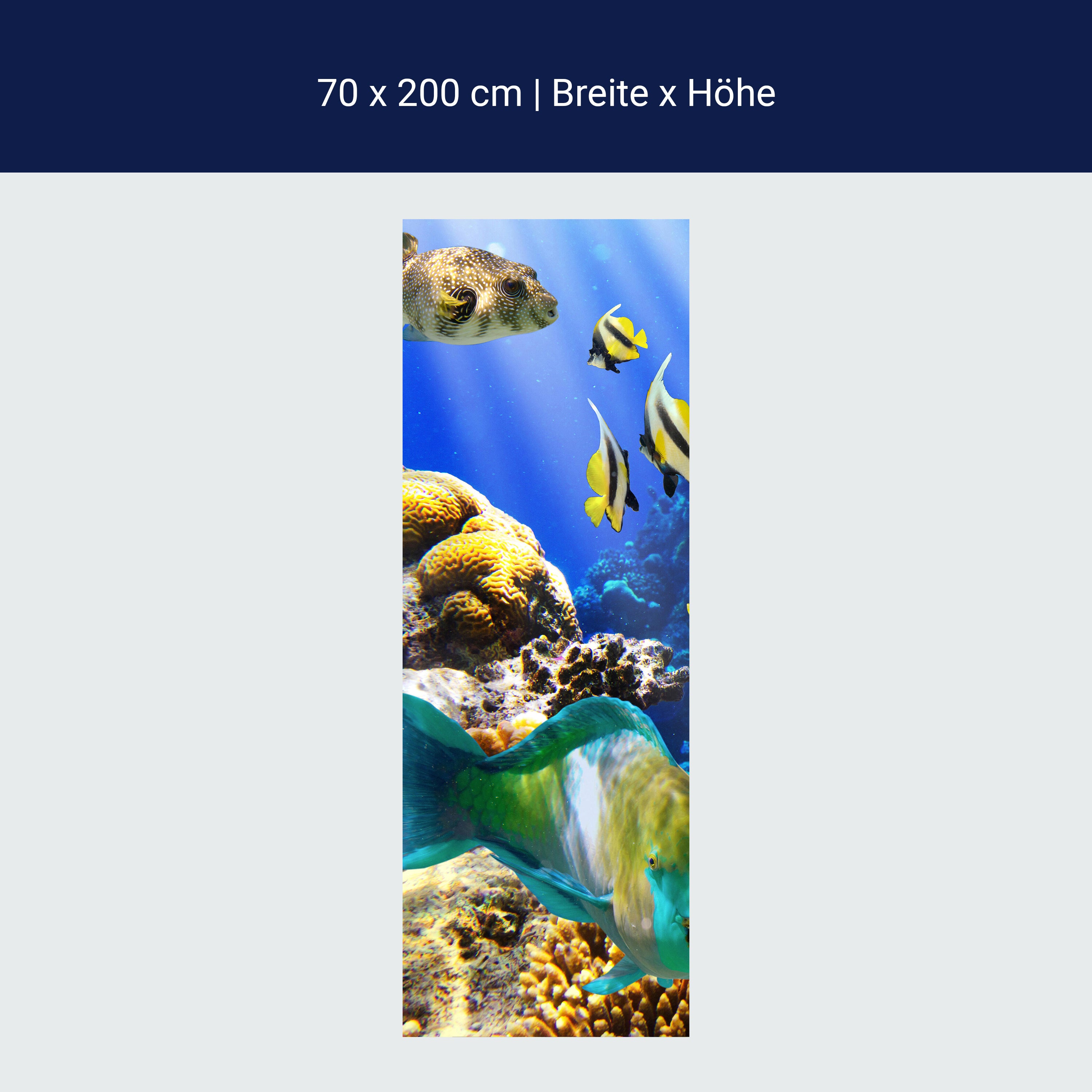 Türtapete Unterwasser M0011 Türtapete Unterwasser M0011