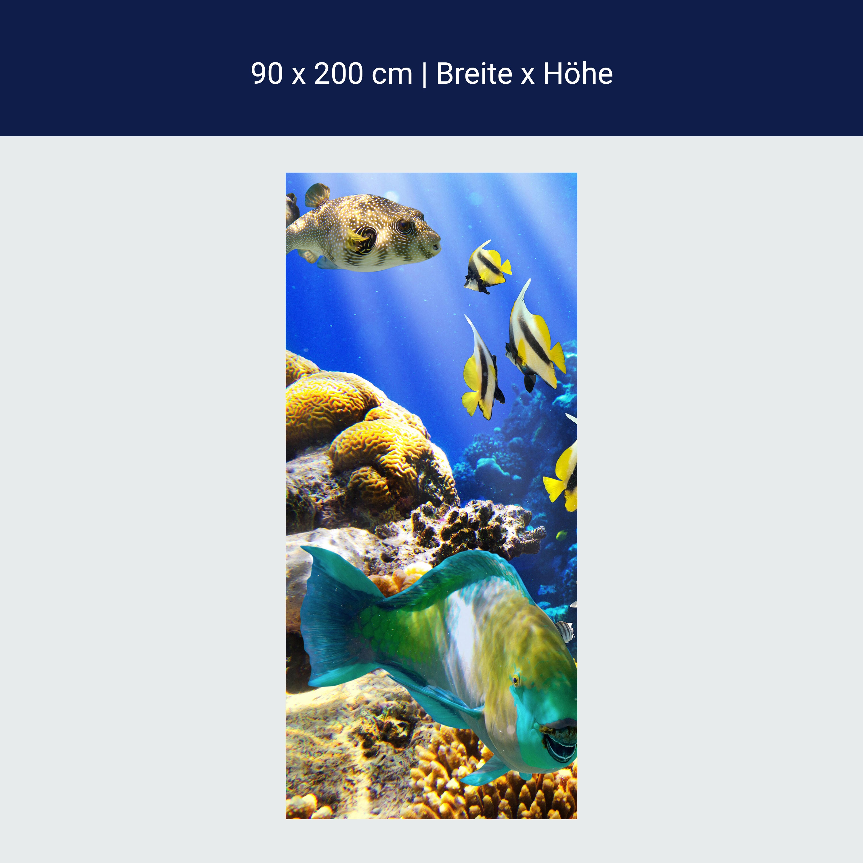 Türtapete Unterwasser M0011 Türtapete Unterwasser M0011