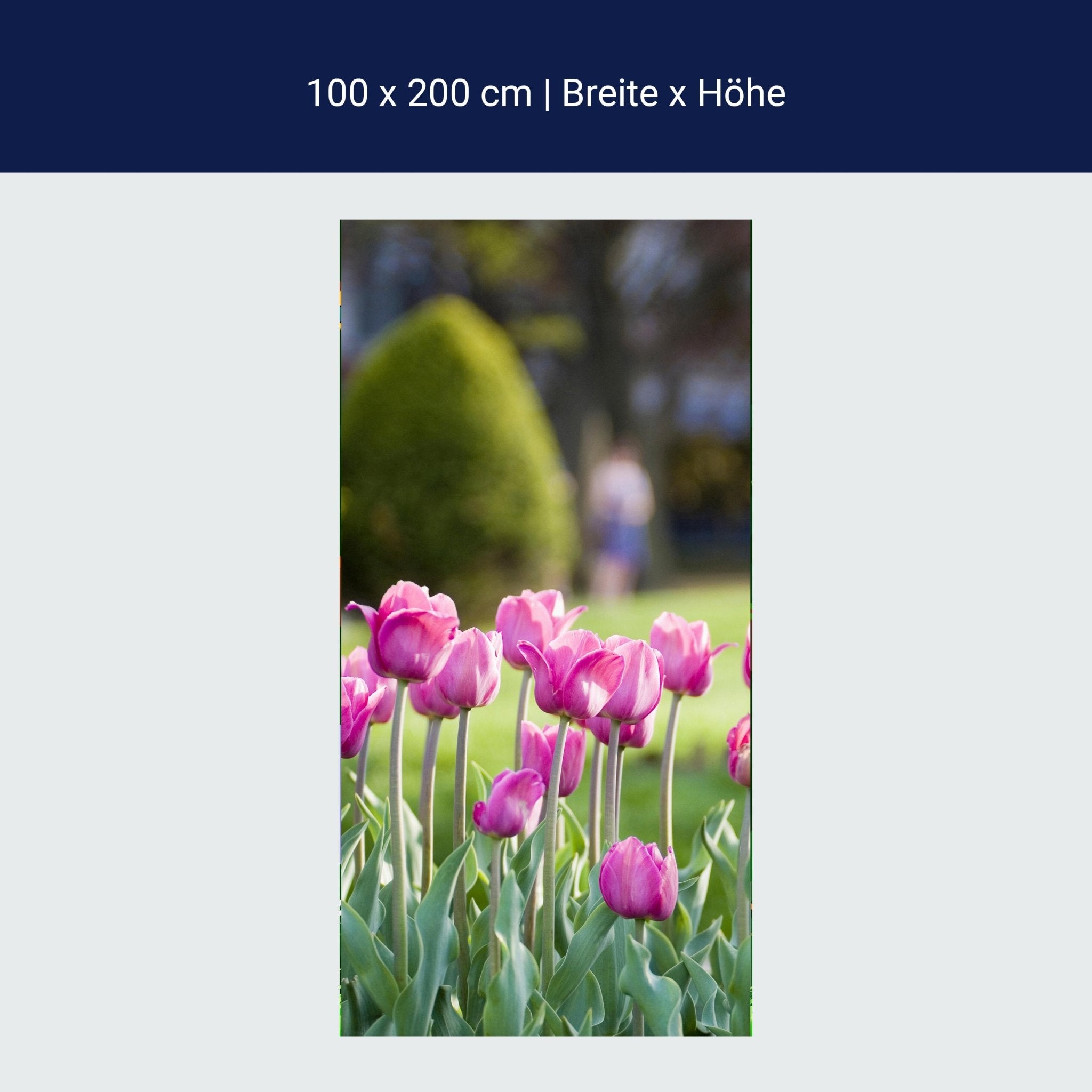Türtapete Pinke Tulpen M0016 Türtapete Pinke Tulpen M0016