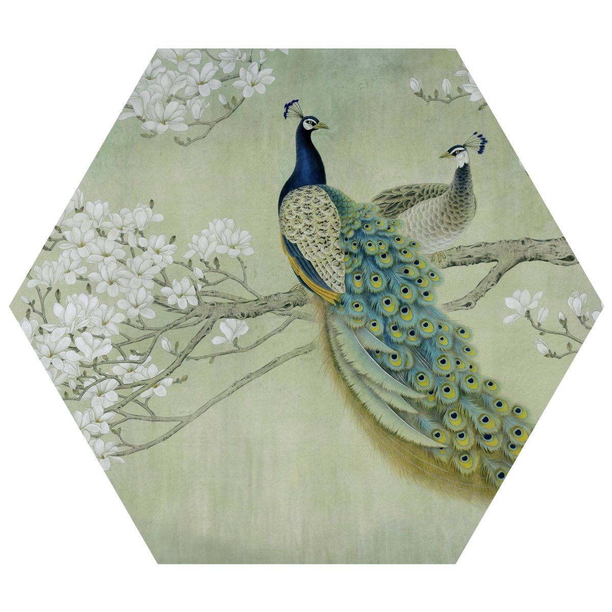 Hexagon-Fototapete Pfaue auf blühendem Zweig M0022 - Bild 11 Hexagon-Fototapete Pfaue auf blühendem Zweig M0022 - Bild 11