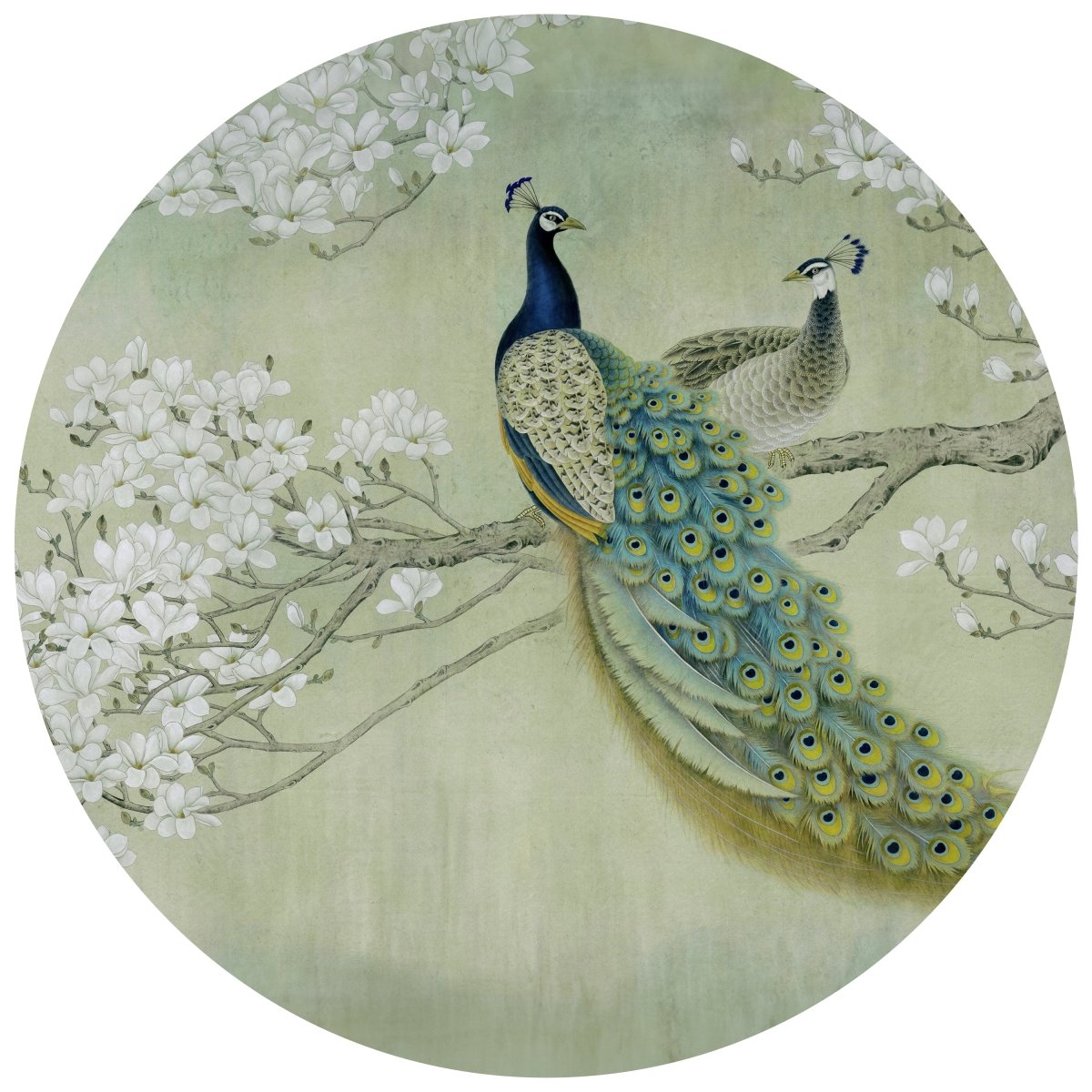 Runde Fototapete Pfaue auf blühendem Zweig M0022 - Bild 11 Runde Fototapete Pfaue auf blühendem Zweig M0022 - Bild 11