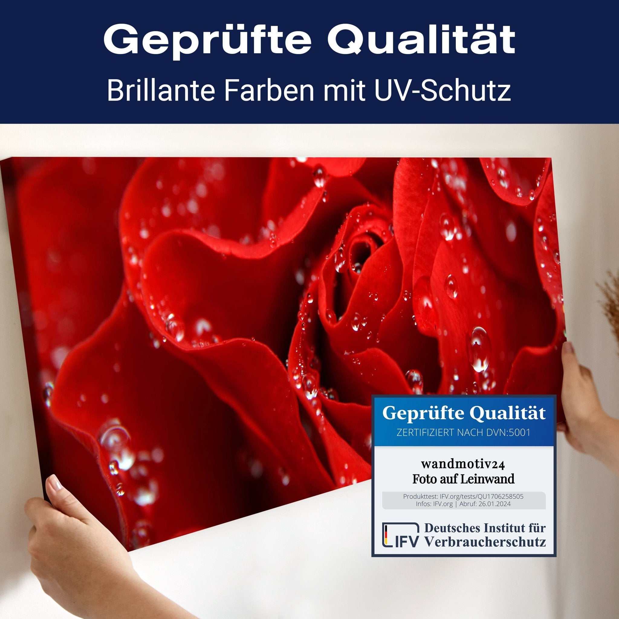 Leinwandbild Rosenblüte M0038 kaufen - Bild 4 Leinwandbild Rosenblüte M0038 kaufen - Bild 4