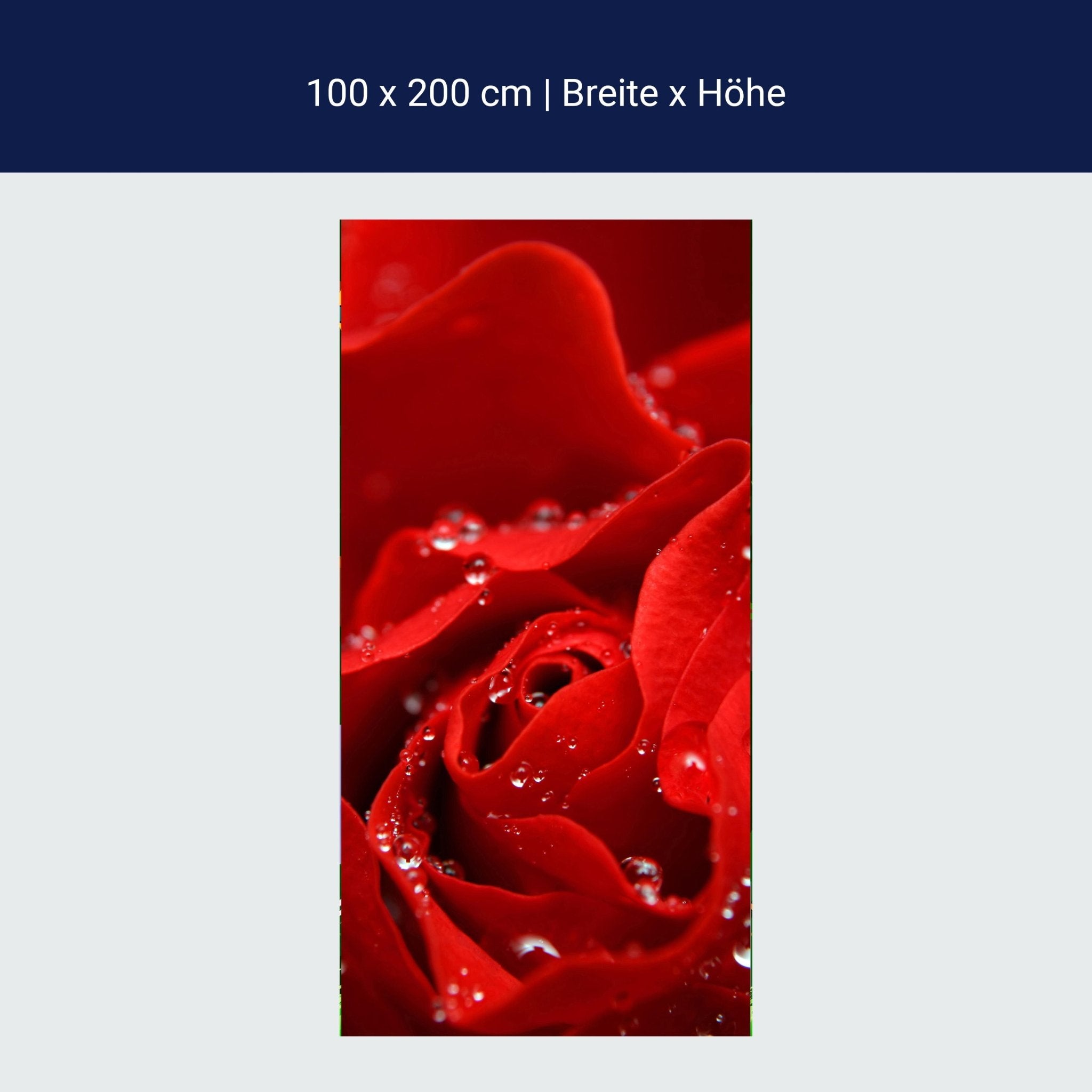 Türtapete Rosenblüte M0038 Türtapete Rosenblüte M0038