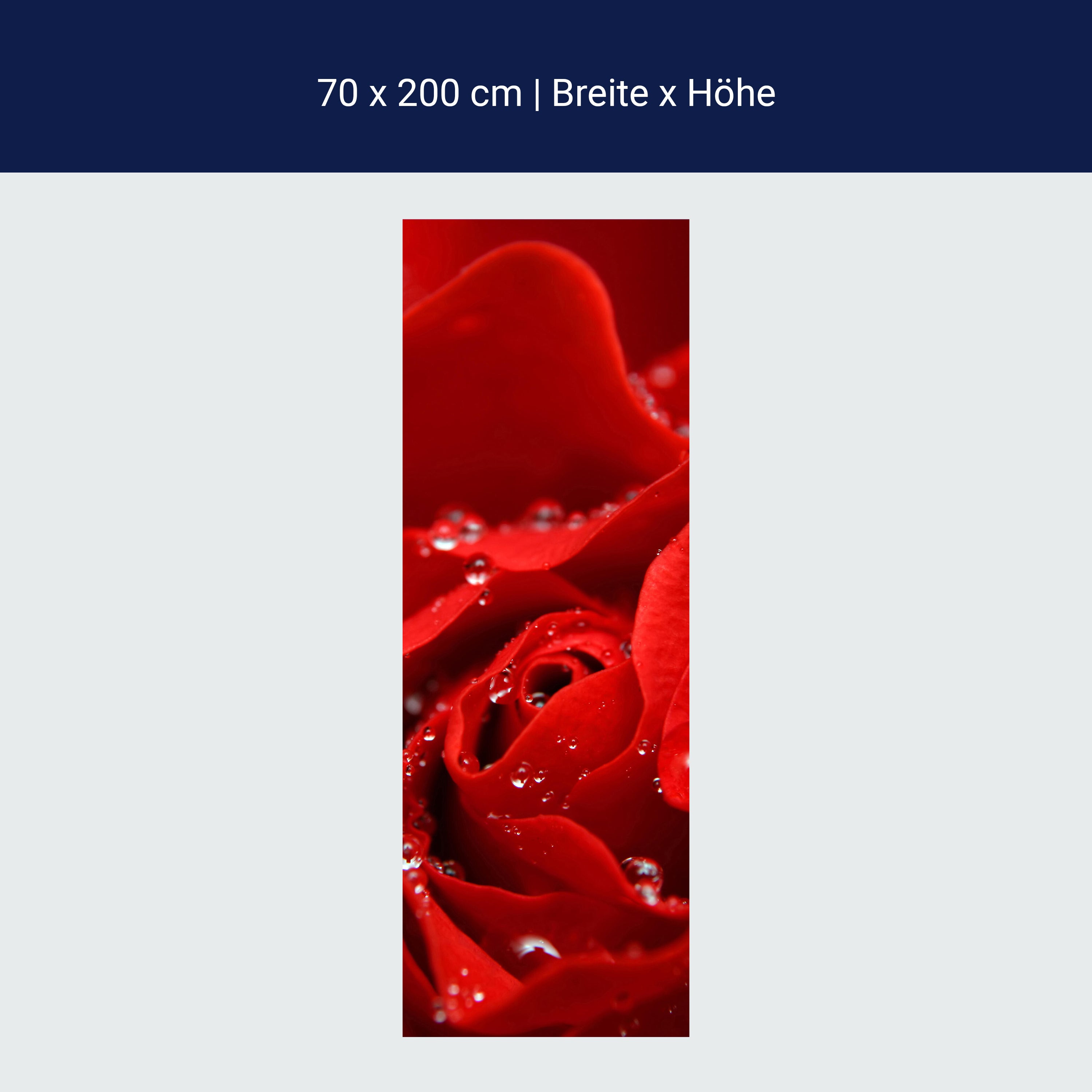 Türtapete Rosenblüte M0038 Türtapete Rosenblüte M0038