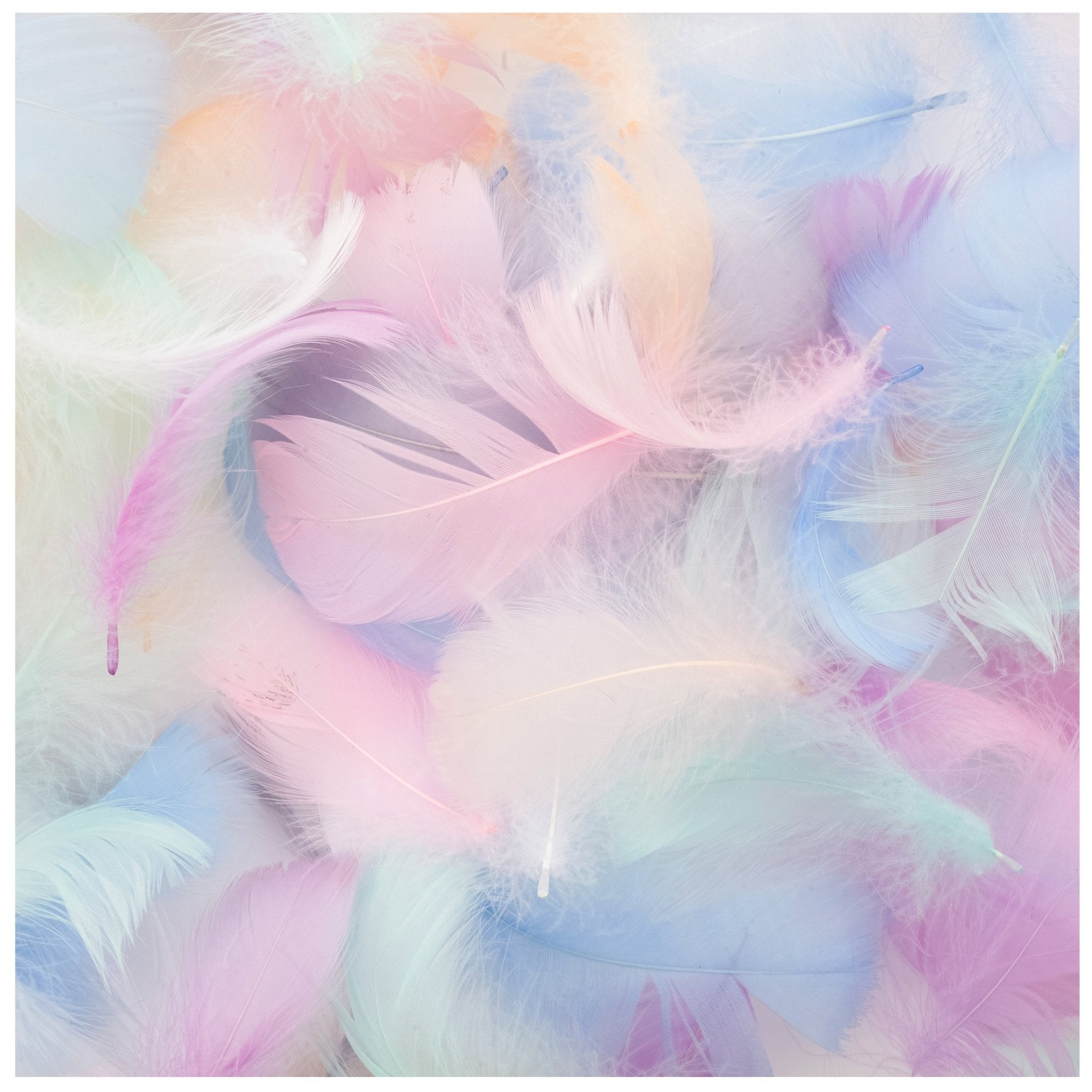 Quadratische Fototapete bunte Federn M0039 - Bild 11 Quadratische Fototapete bunte Federn M0039 - Bild 11