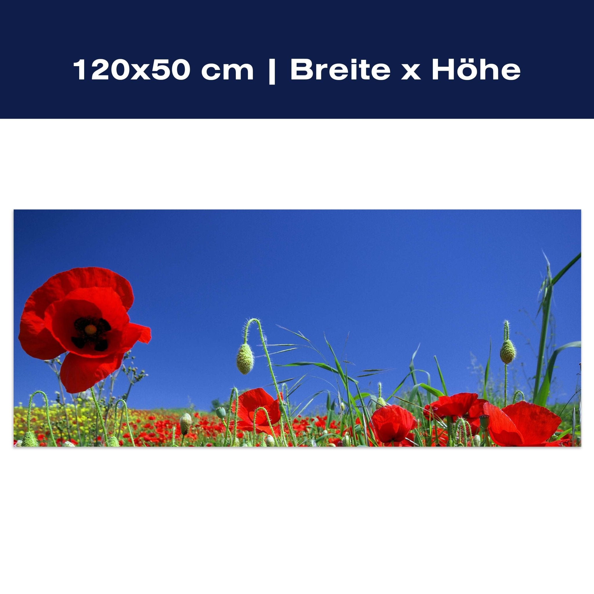 Leinwandbild Mohnblumenfeld M0046 Leinwandbild Mohnblumenfeld M0046