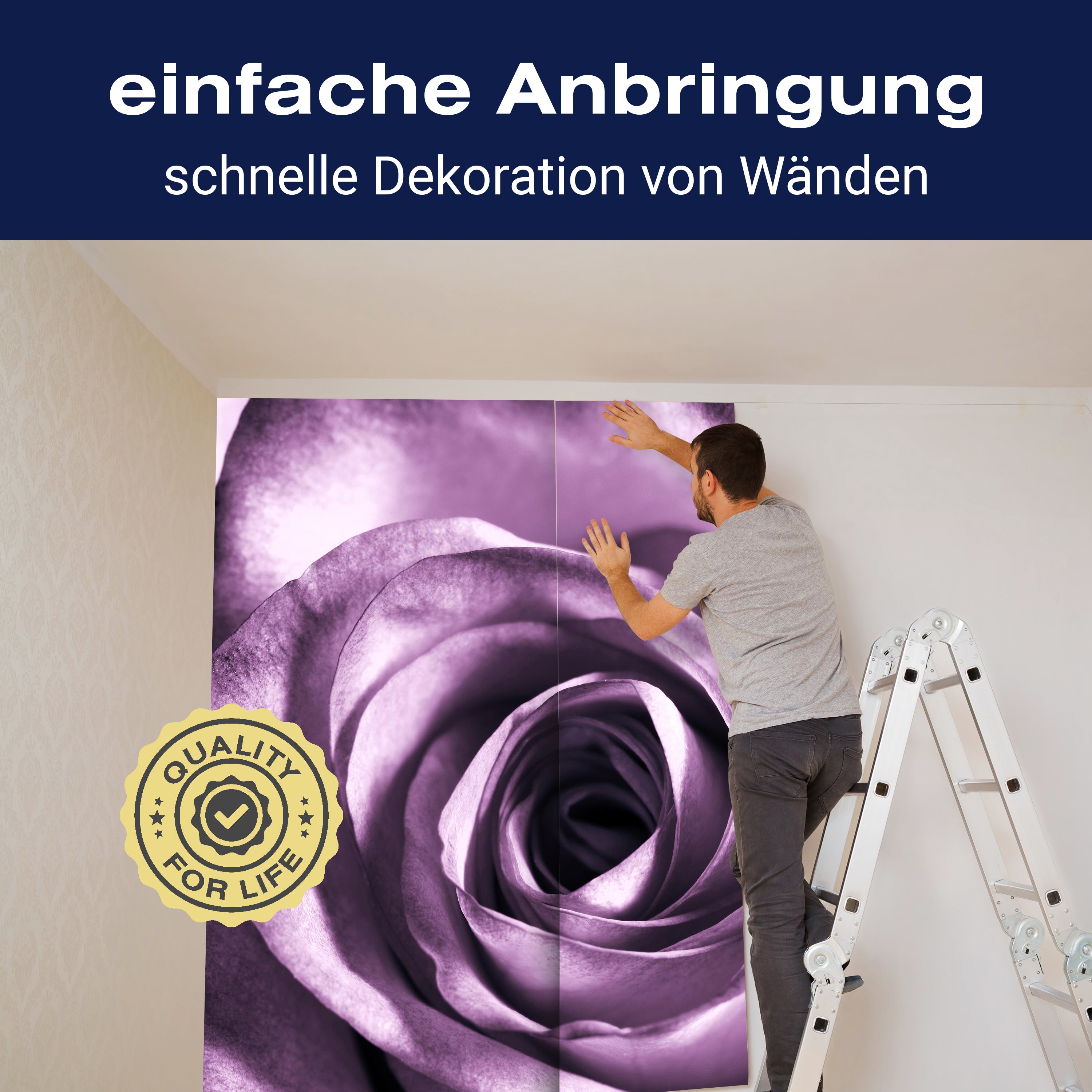 Fototapete Rose-violett M0051 - Bild 3 Fototapete Rose-violett M0051 - Bild 3