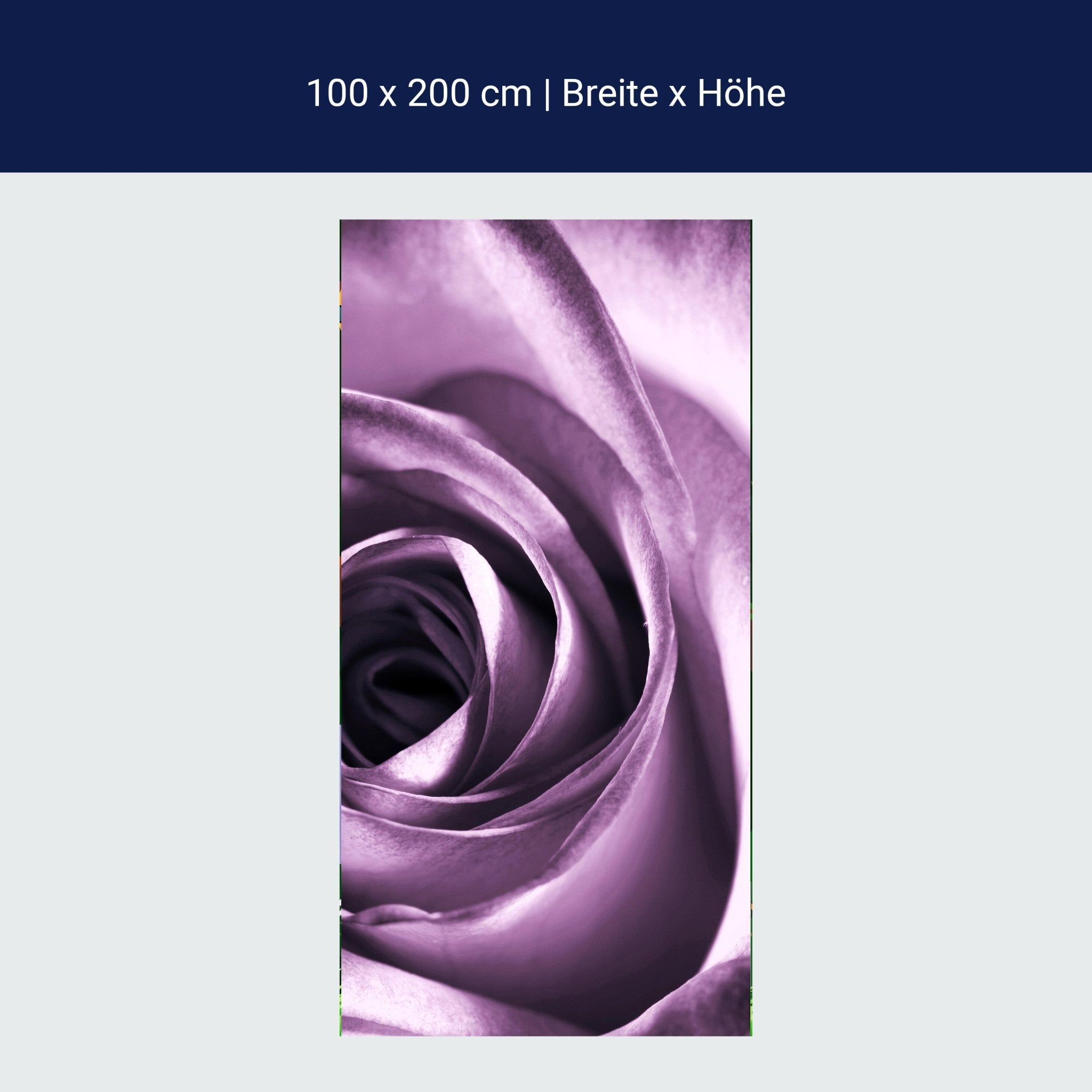 Türtapete violette Rose M0051 Türtapete violette Rose M0051