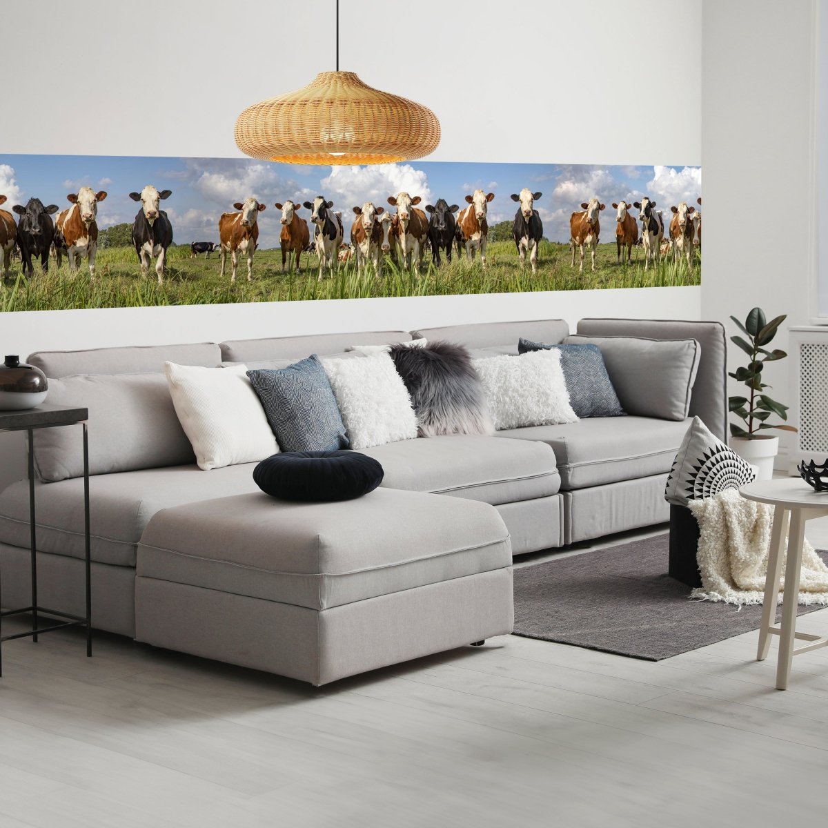 Panorama-Fototapete Kühe auf der Weide M0131 - Bild 1 Panorama-Fototapete Kühe auf der Weide M0131 - Bild 1
