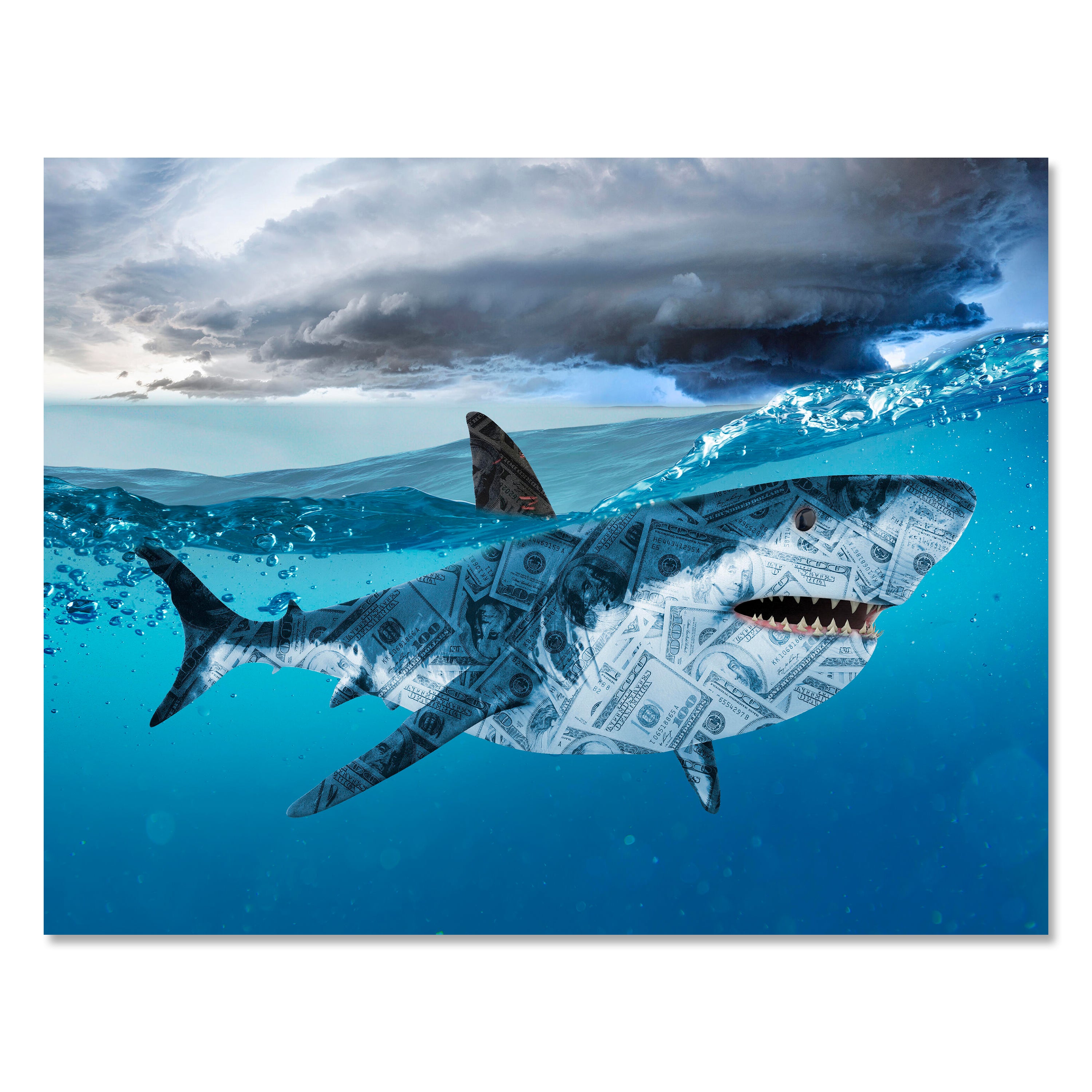Leinwandbild Motivation, Querformat, Hai Moneyshark M0134 kaufen - Bild 1 Leinwandbild Motivation, Querformat, Hai Moneyshark M0134 kaufen - Bild 1