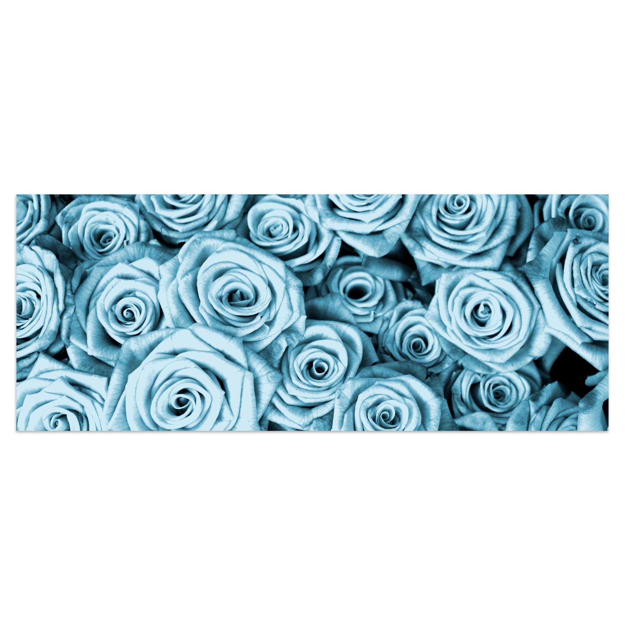 Leinwandbild Blaues Rosenfeld Blüte M0228 kaufen - Bild 1 Leinwandbild Blaues Rosenfeld Blüte M0228 kaufen - Bild 1