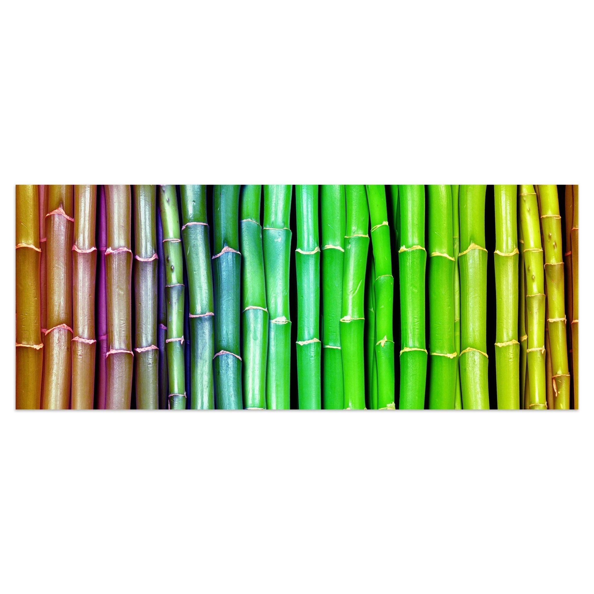 Leinwandbild bunter Bambus Asien M0229 kaufen - Bild 1 Leinwandbild bunter Bambus Asien M0229 kaufen - Bild 1