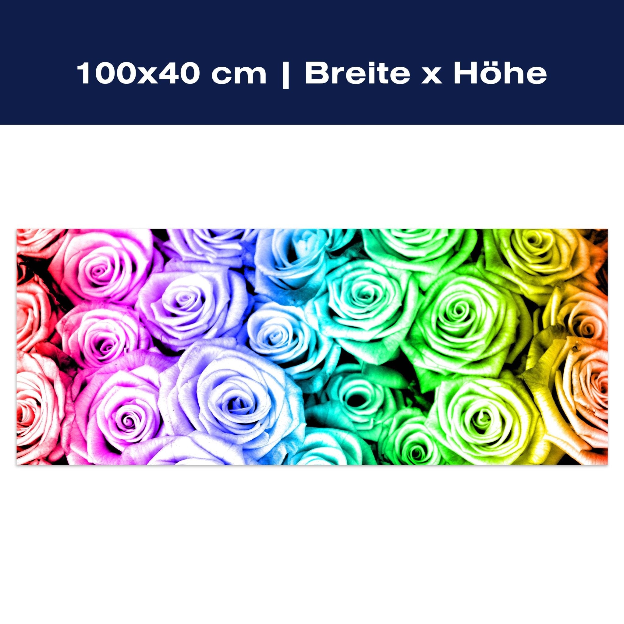 Leinwandbild Regenbogenrosenfeld Blüte M0231 Leinwandbild Regenbogenrosenfeld Blüte M0231