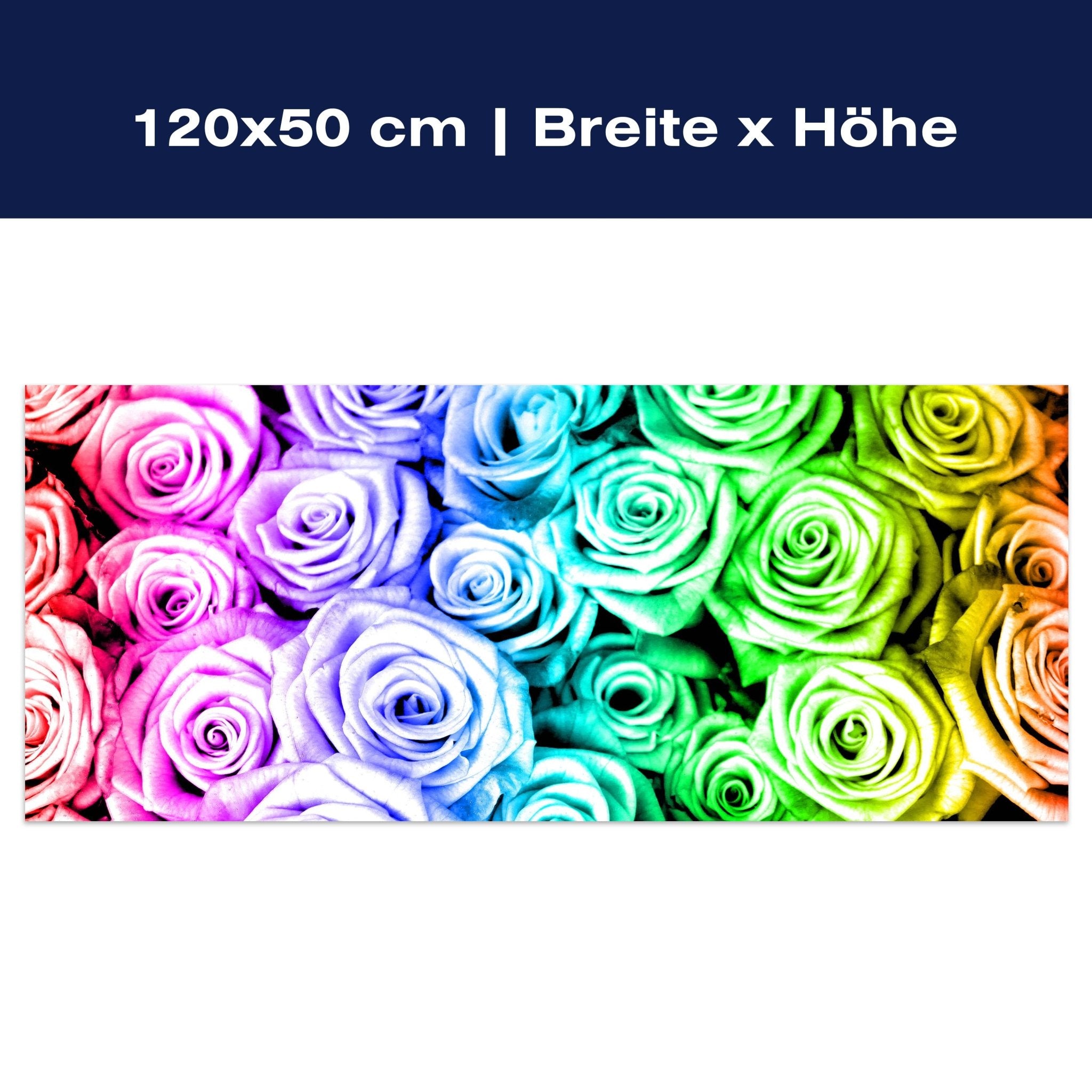 Leinwandbild Regenbogenrosenfeld Blüte M0231 Leinwandbild Regenbogenrosenfeld Blüte M0231