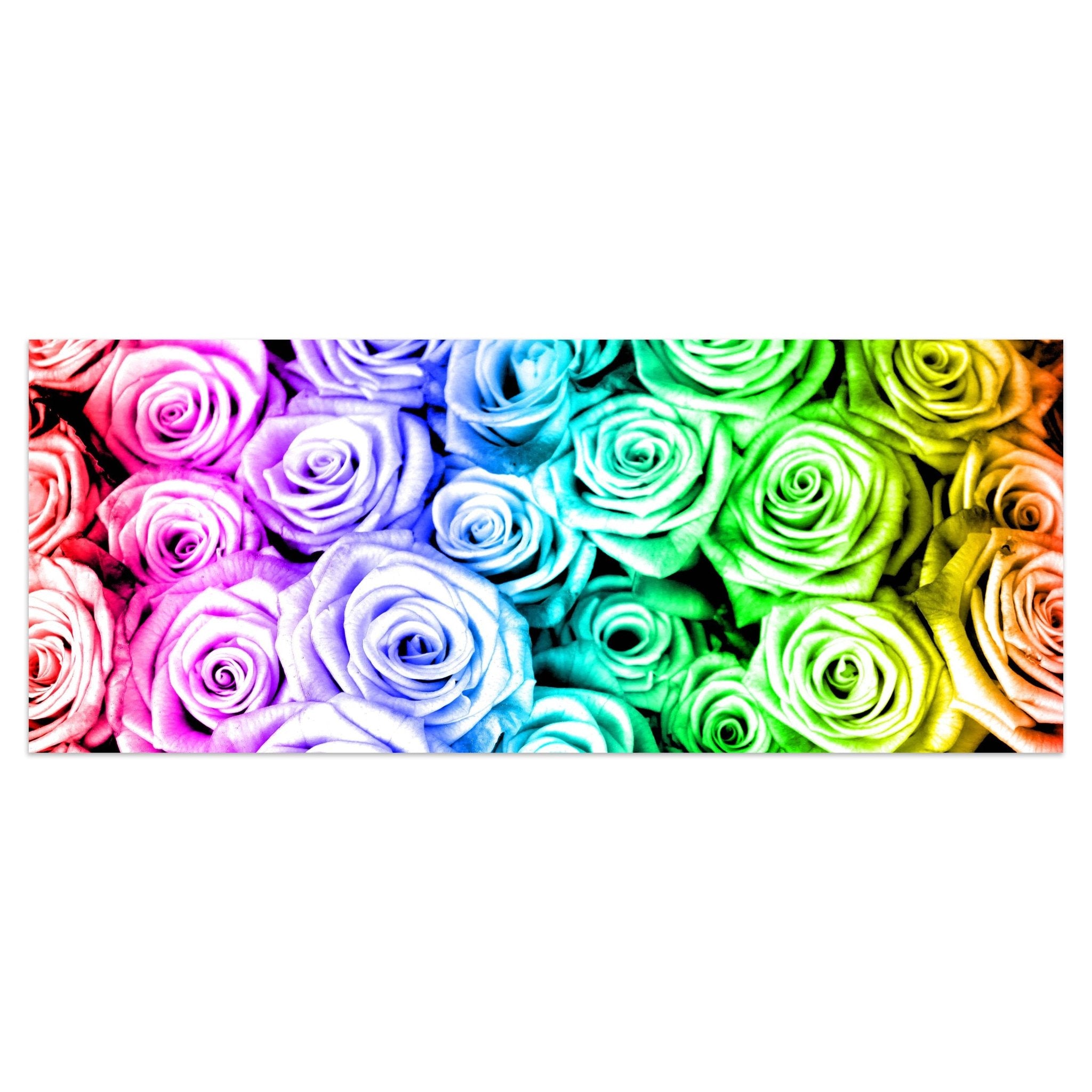 Leinwandbild Regenbogenrosenfeld Blüte M0231 kaufen - Bild 1 Leinwandbild Regenbogenrosenfeld Blüte M0231 kaufen - Bild 1