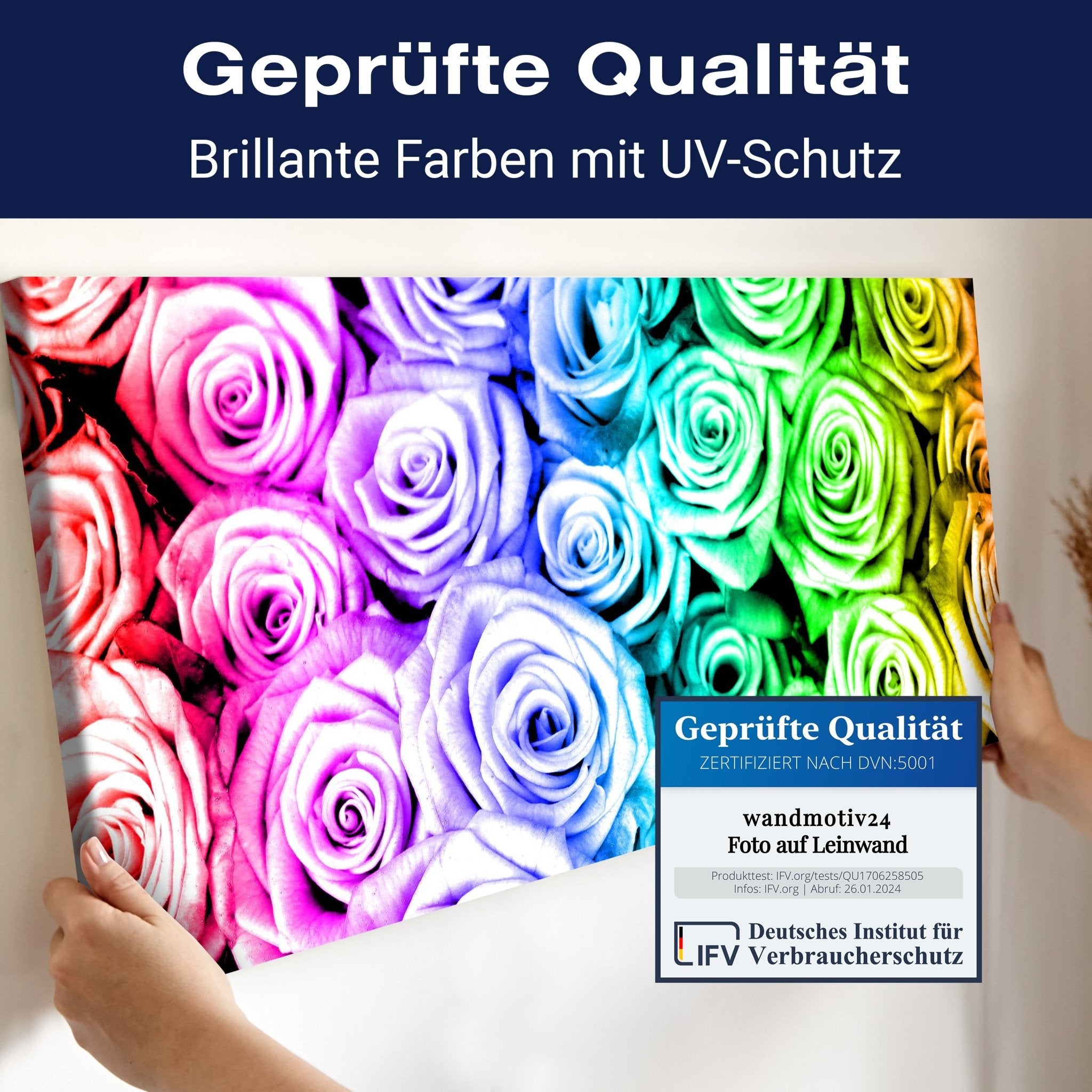 Leinwandbild Regenbogenrosenfeld Blüte M0231 kaufen - Bild 4 Leinwandbild Regenbogenrosenfeld Blüte M0231 kaufen - Bild 4