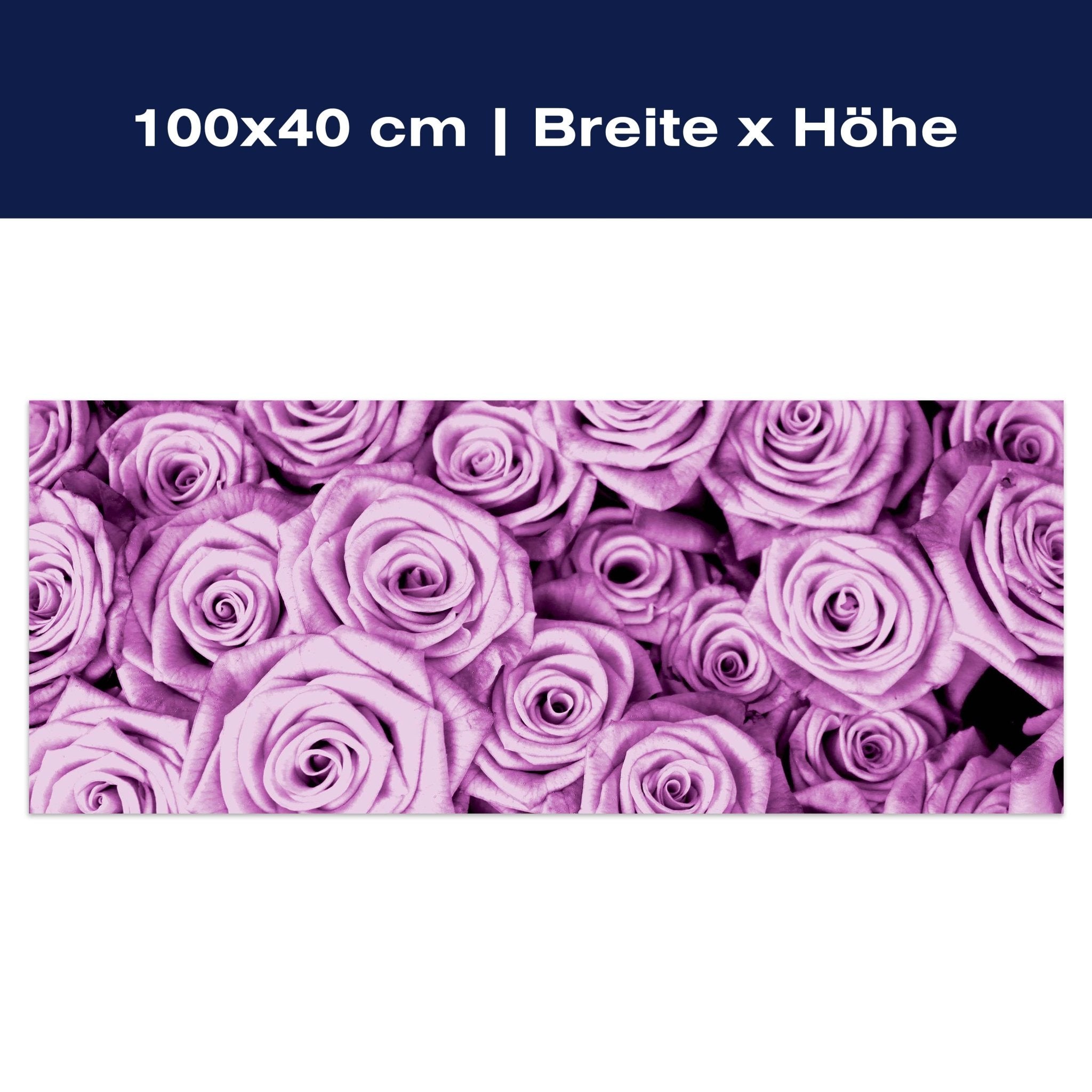 Leinwandbild violettes Rosenfeld Blüte M0232 Leinwandbild violettes Rosenfeld Blüte M0232