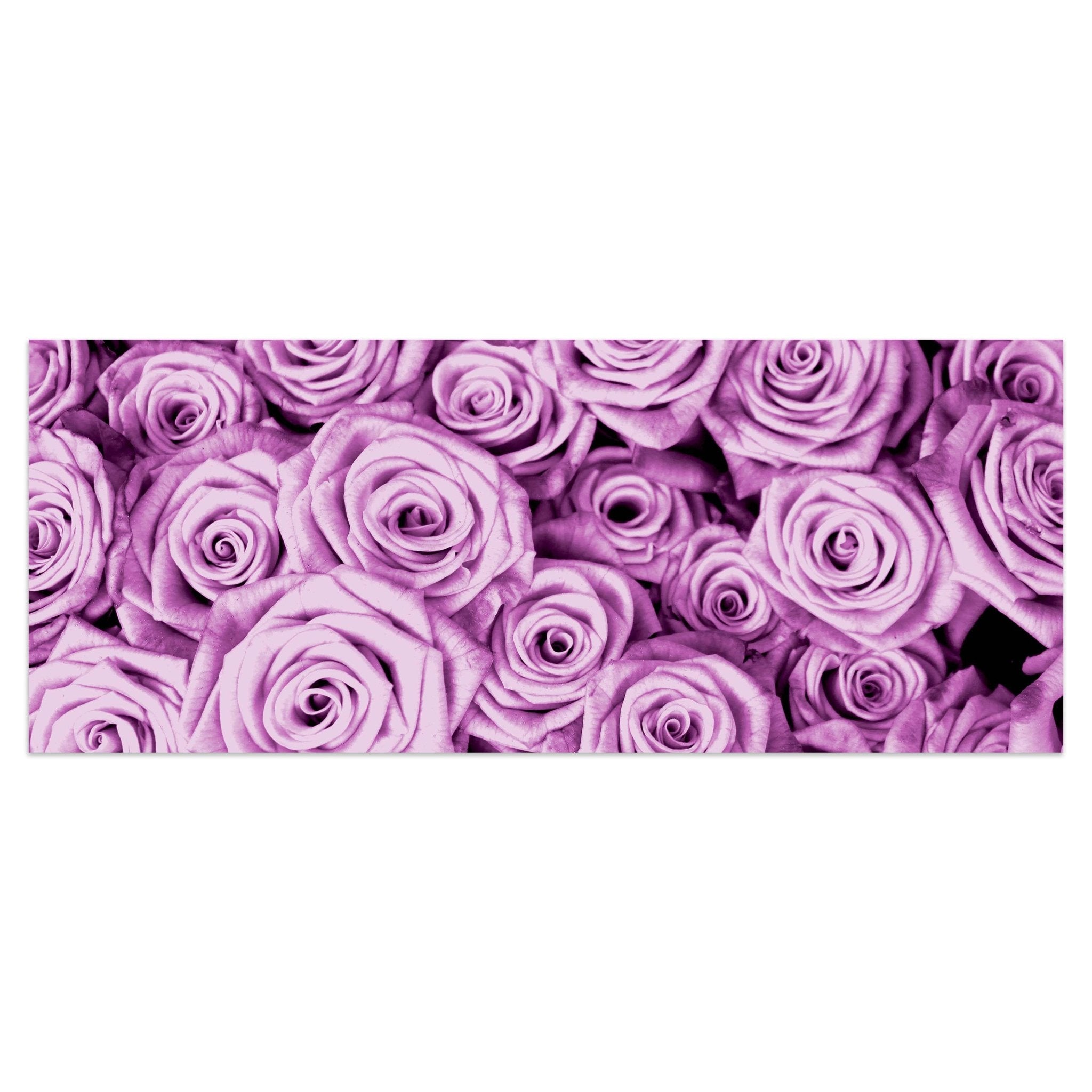 Leinwandbild violettes Rosenfeld Blüte M0232 kaufen - Bild 1 Leinwandbild violettes Rosenfeld Blüte M0232 kaufen - Bild 1