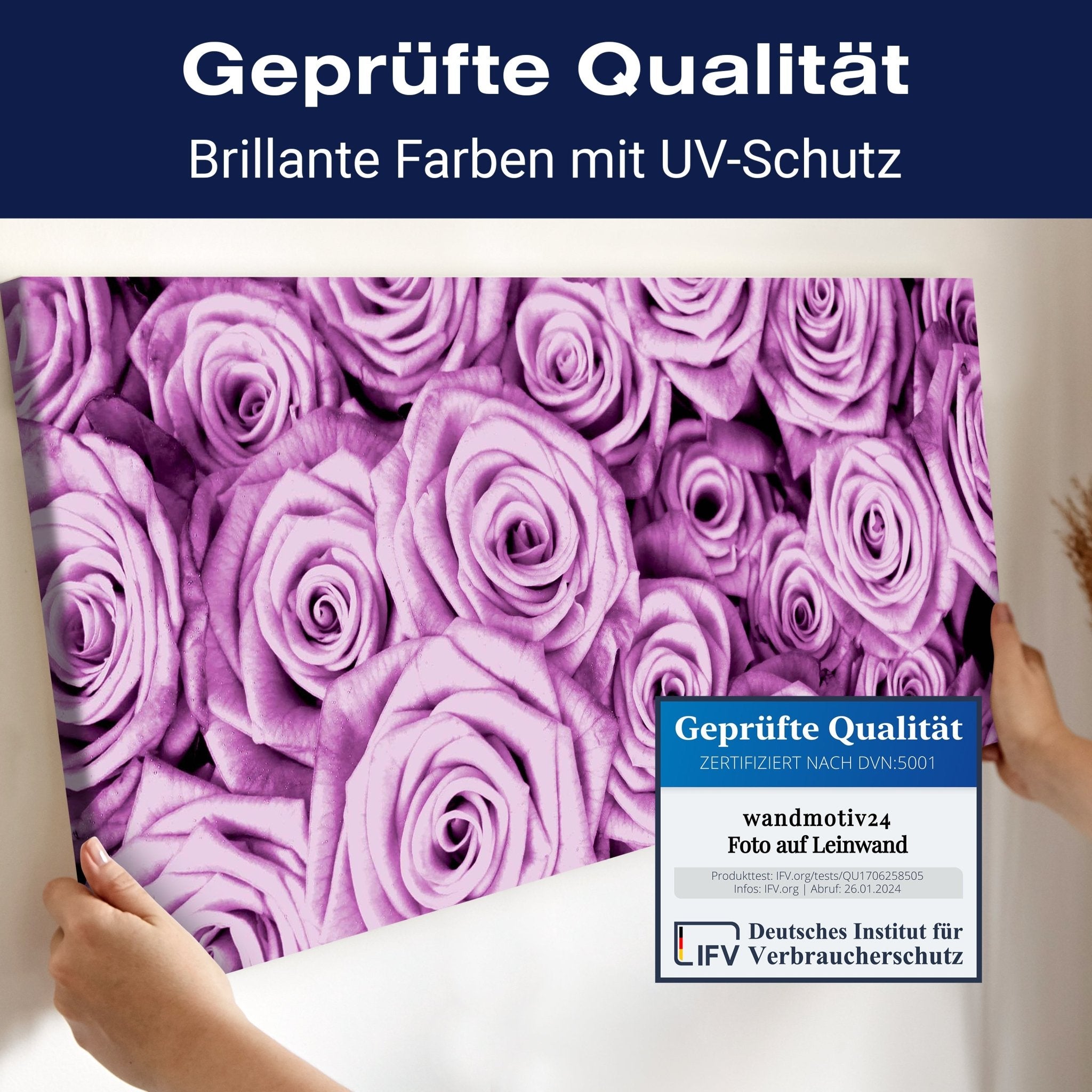 Leinwandbild violettes Rosenfeld Blüte M0232 kaufen - Bild 4 Leinwandbild violettes Rosenfeld Blüte M0232 kaufen - Bild 4