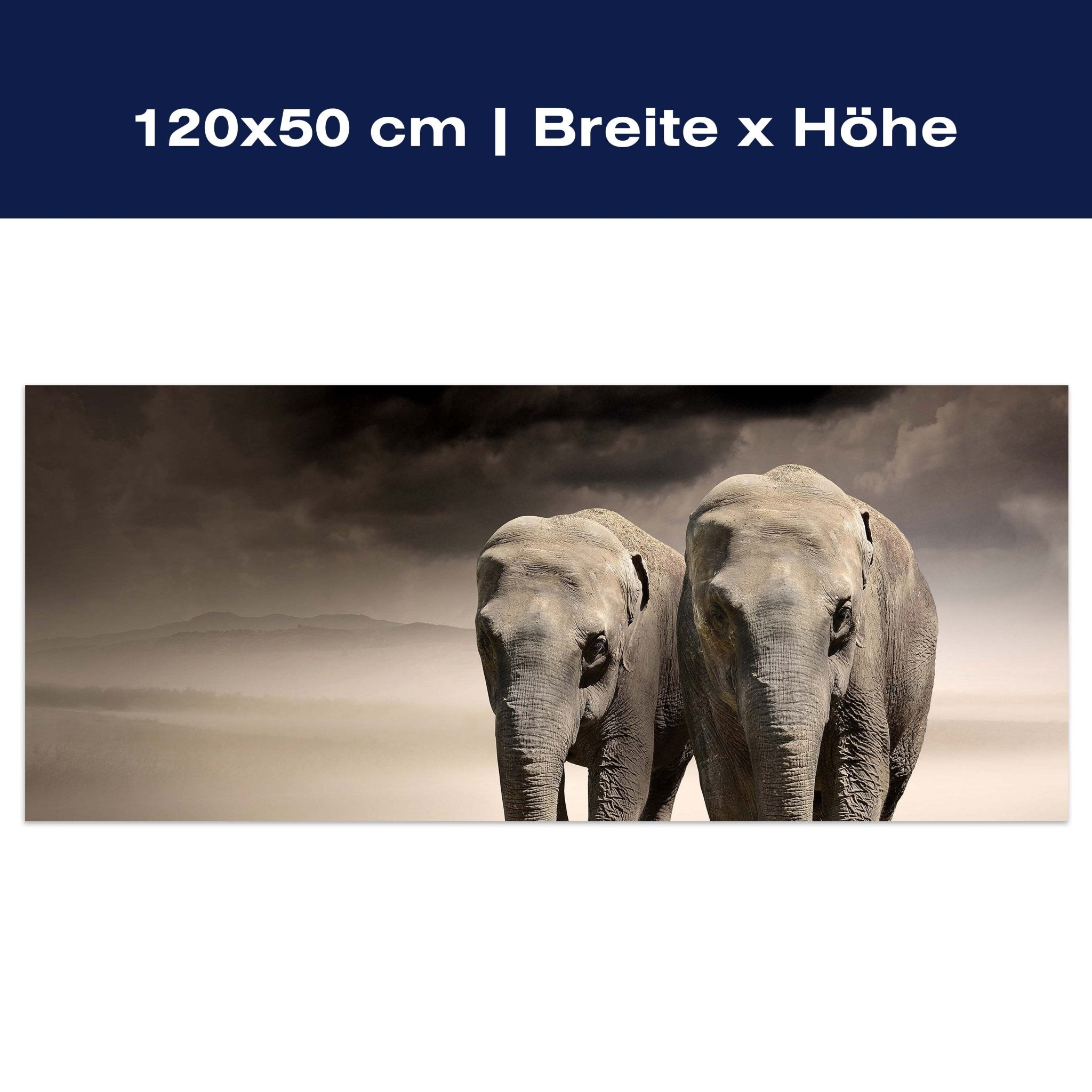 Leinwandbild Elefantentraum Afrika M0244 Leinwandbild Elefantentraum Afrika M0244