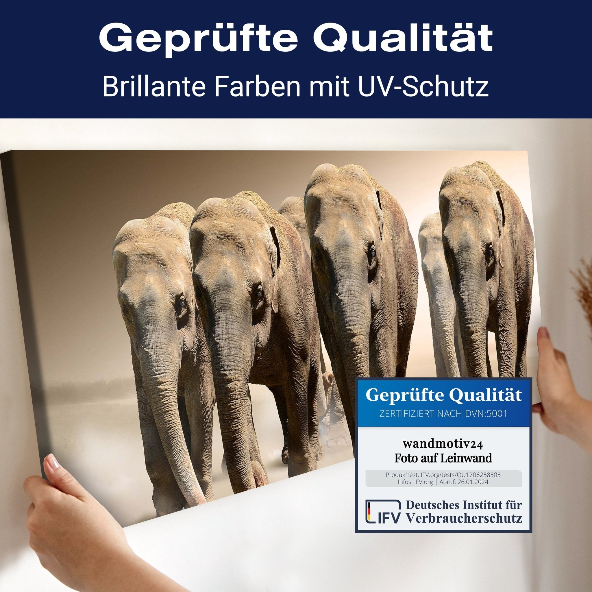 Leinwandbild Elefantengruppe Afrika M0245 kaufen - Bild 4 Leinwandbild Elefantengruppe Afrika M0245 kaufen - Bild 4