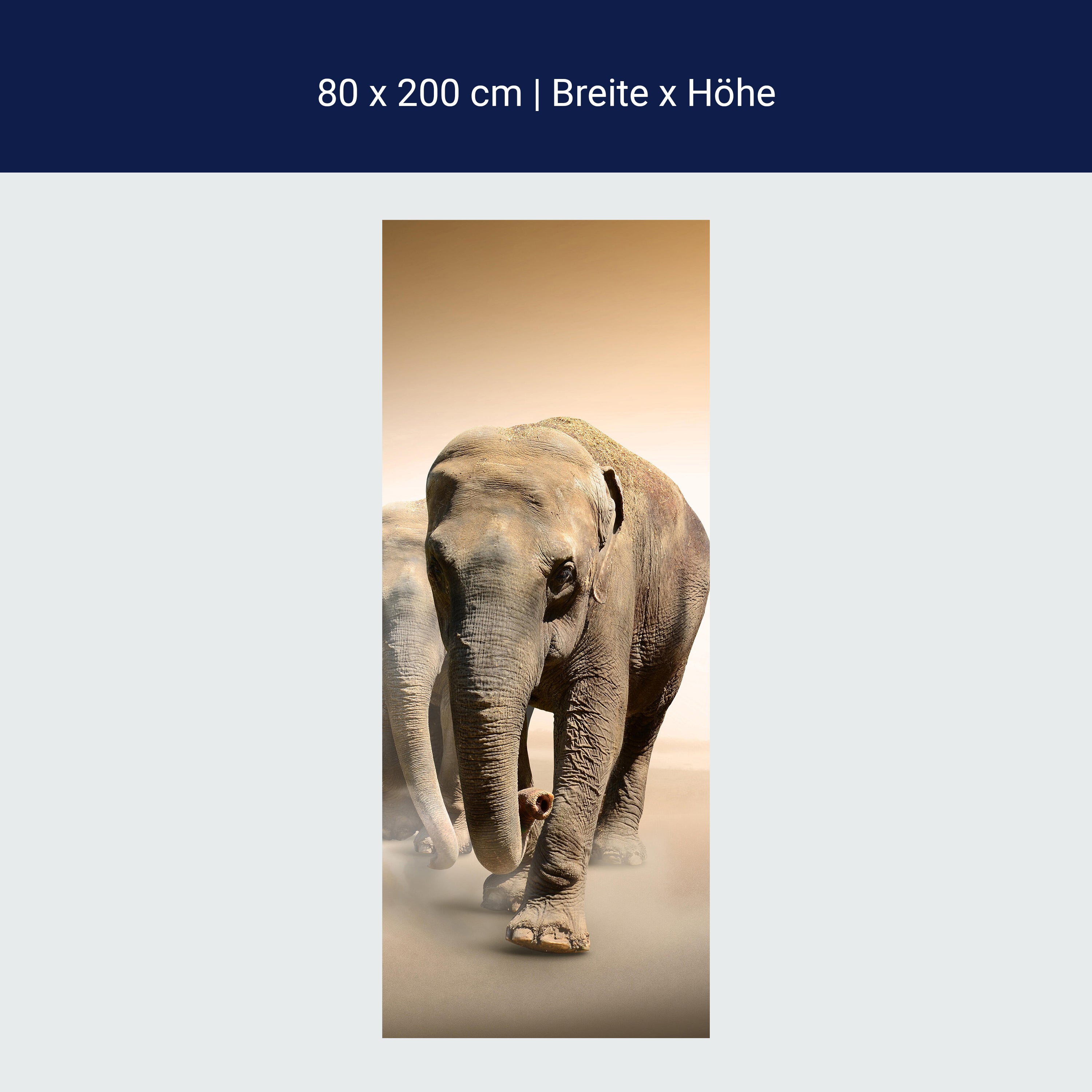 Türtapete Elefantengruppe Afrika M0245 Türtapete Elefantengruppe Afrika M0245