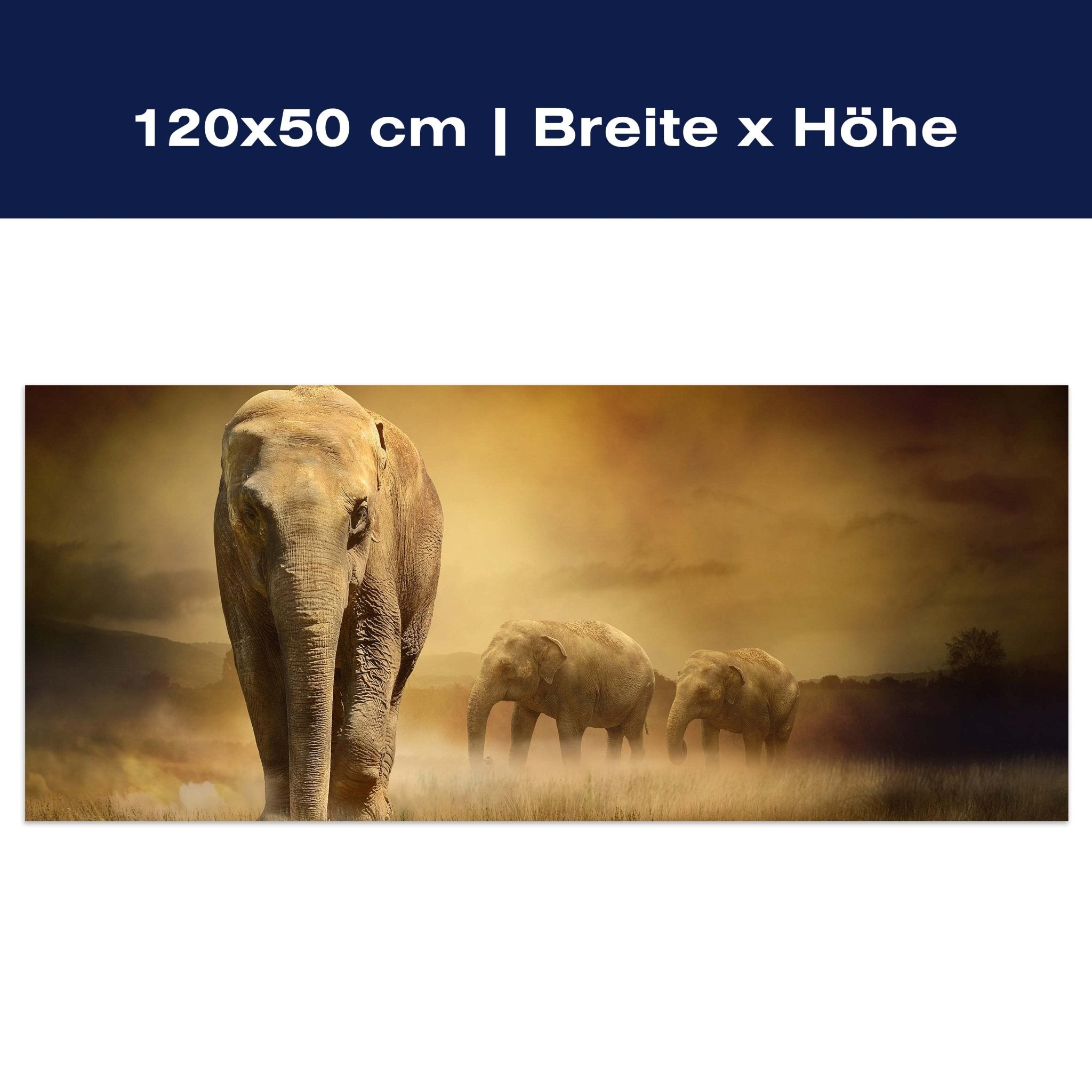 Leinwandbild Steppenelefant Afrika M0246 Leinwandbild Steppenelefant Afrika M0246