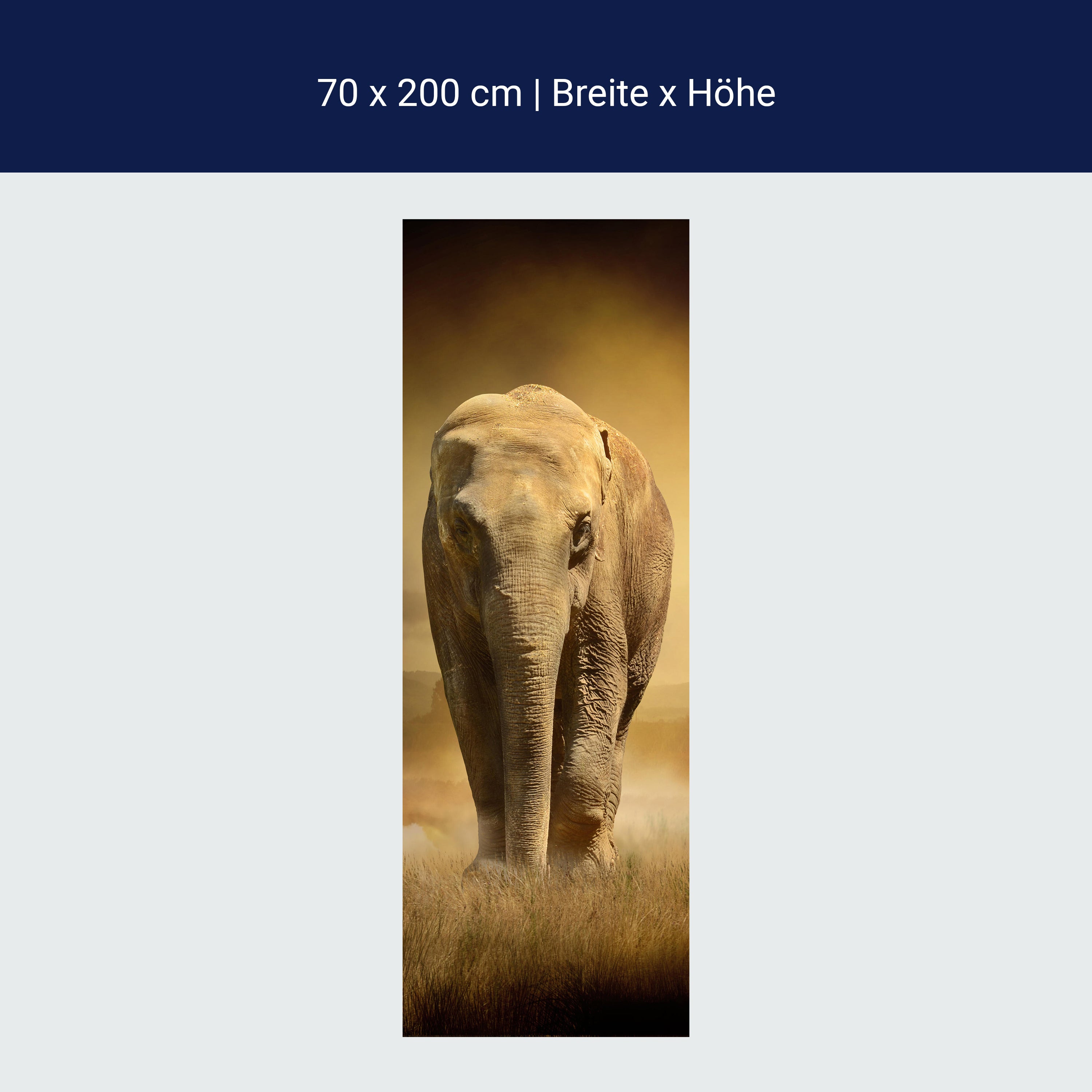 Türtapete Steppenelefant Afrika M0246 Türtapete Steppenelefant Afrika M0246