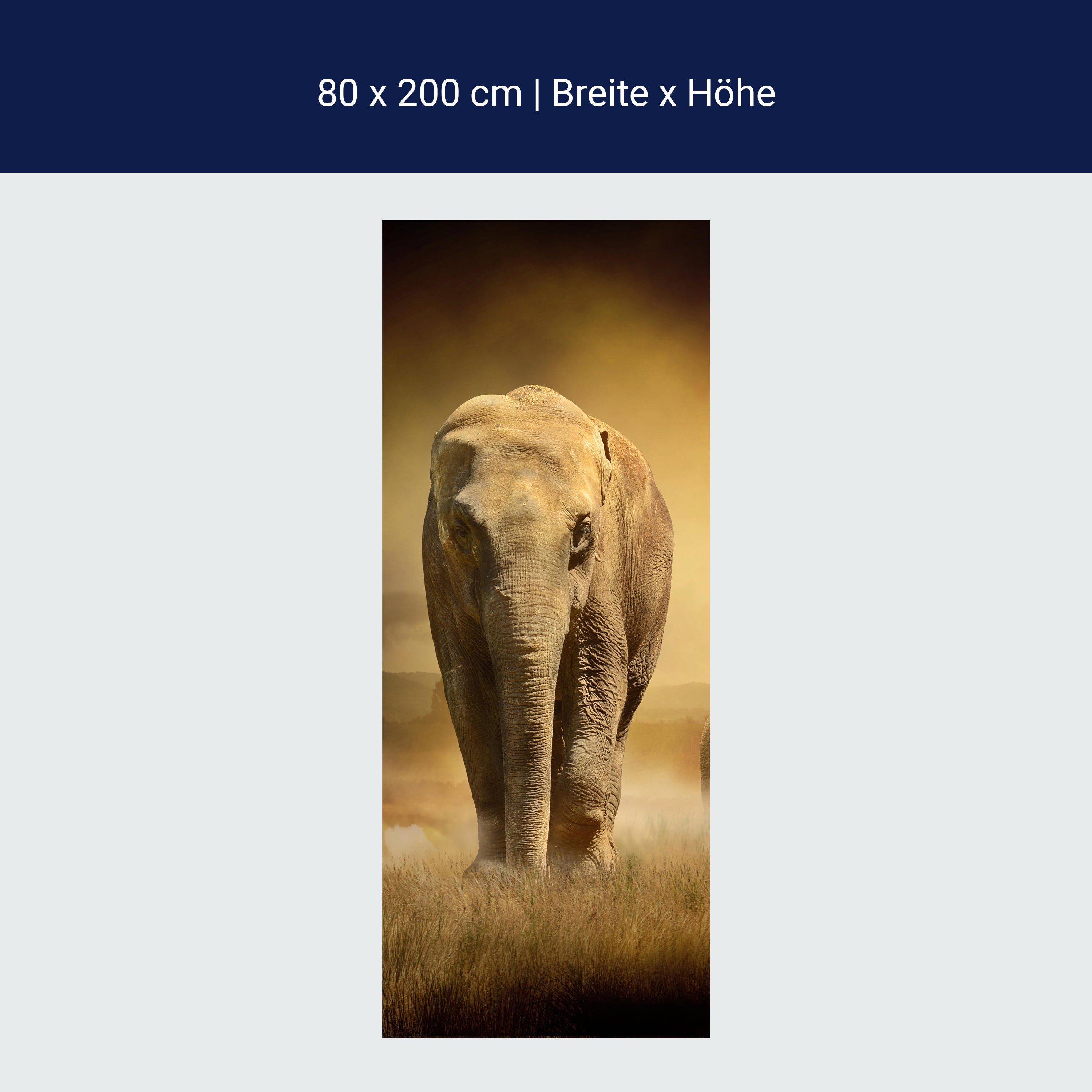 Türtapete Steppenelefant Afrika M0246 Türtapete Steppenelefant Afrika M0246