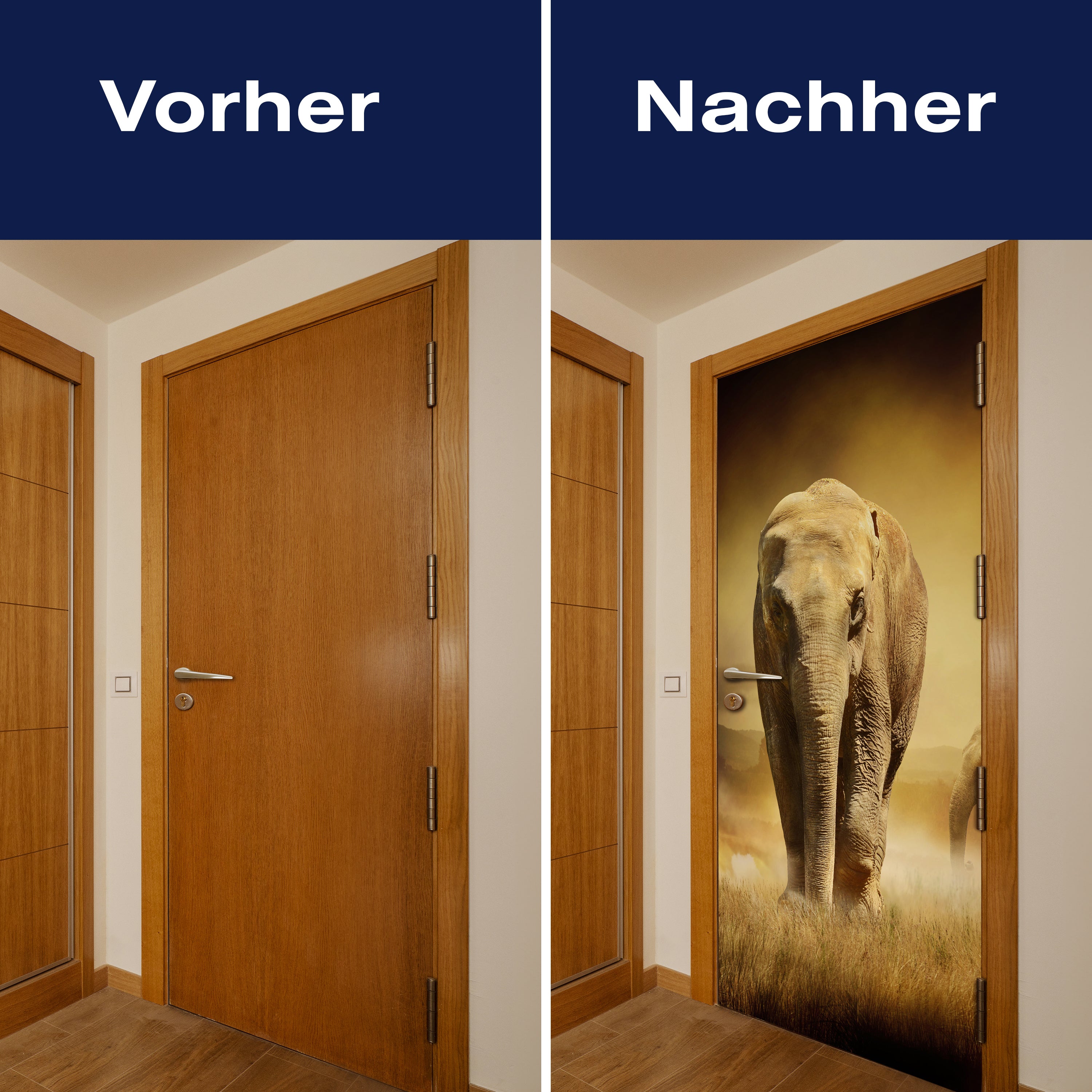 Türtapete Steppenelefant Afrika M0246 - Bild 10 Türtapete Steppenelefant Afrika M0246 - Bild 10