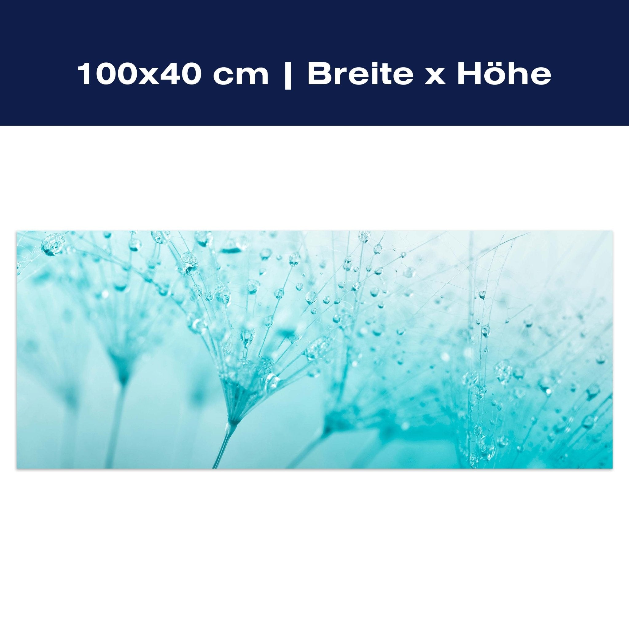 Leinwandbild Pusteblume Türkis M0347 Leinwandbild Pusteblume Türkis M0347