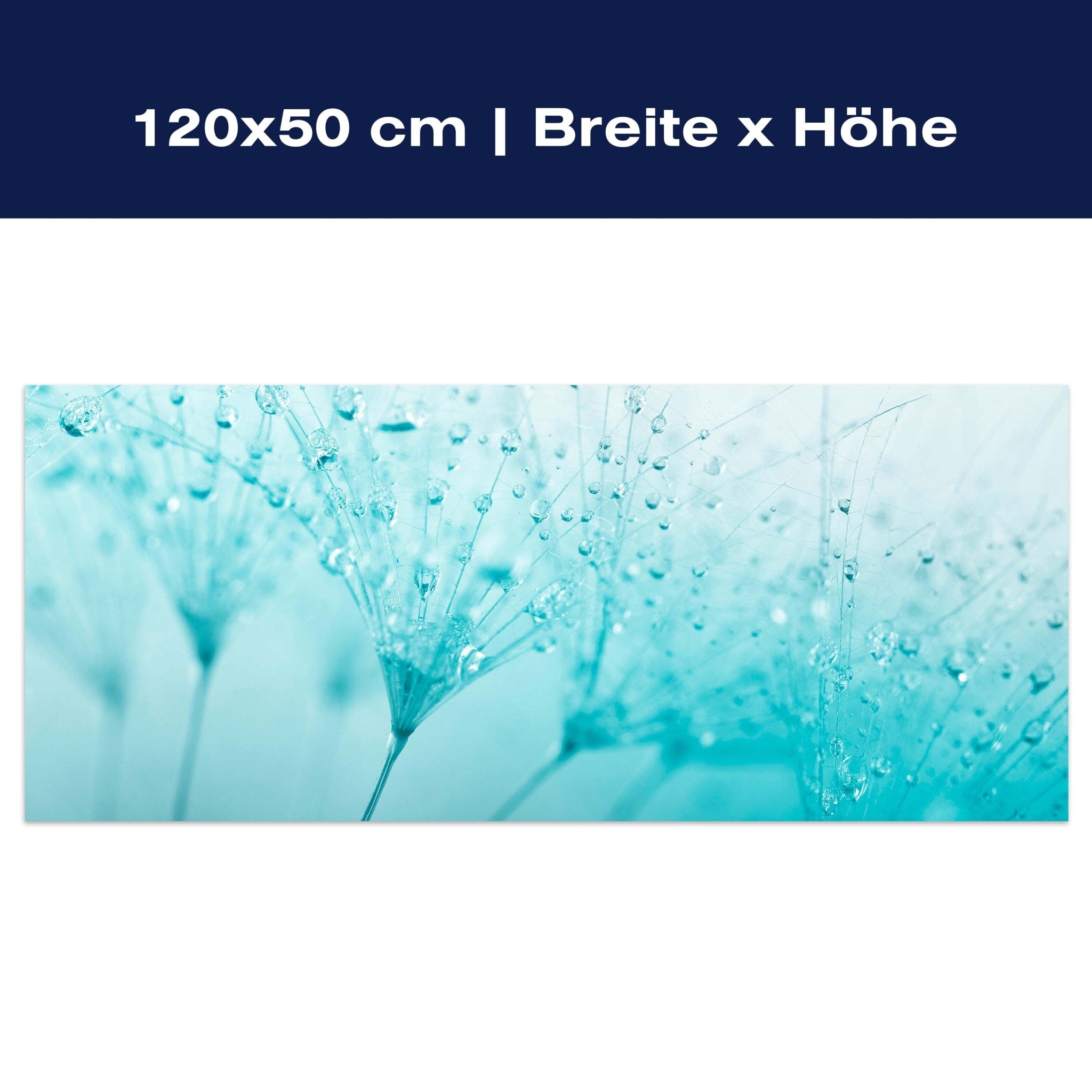 Leinwandbild Pusteblume Türkis M0347 Leinwandbild Pusteblume Türkis M0347