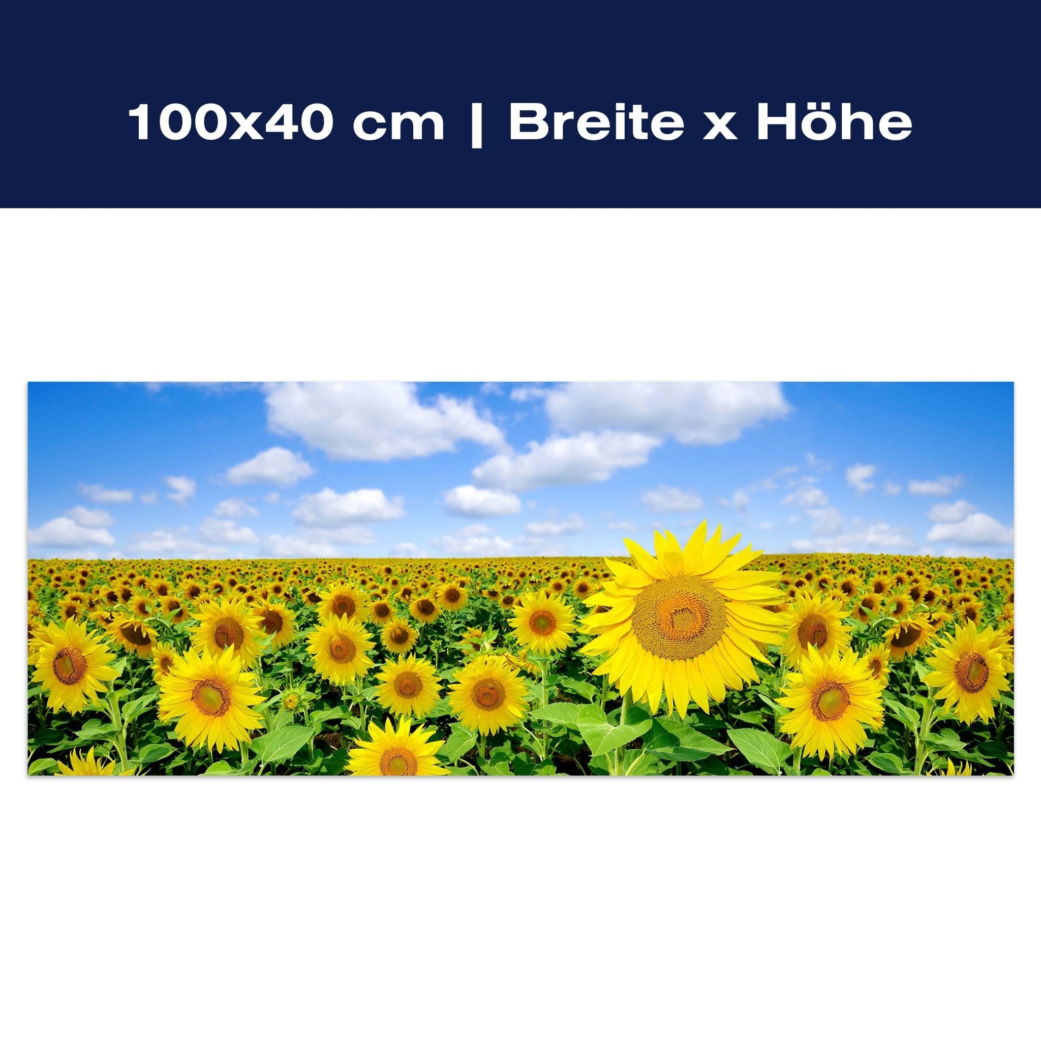 Leinwandbild Sonnenblumenfeld M0348 Leinwandbild Sonnenblumenfeld M0348