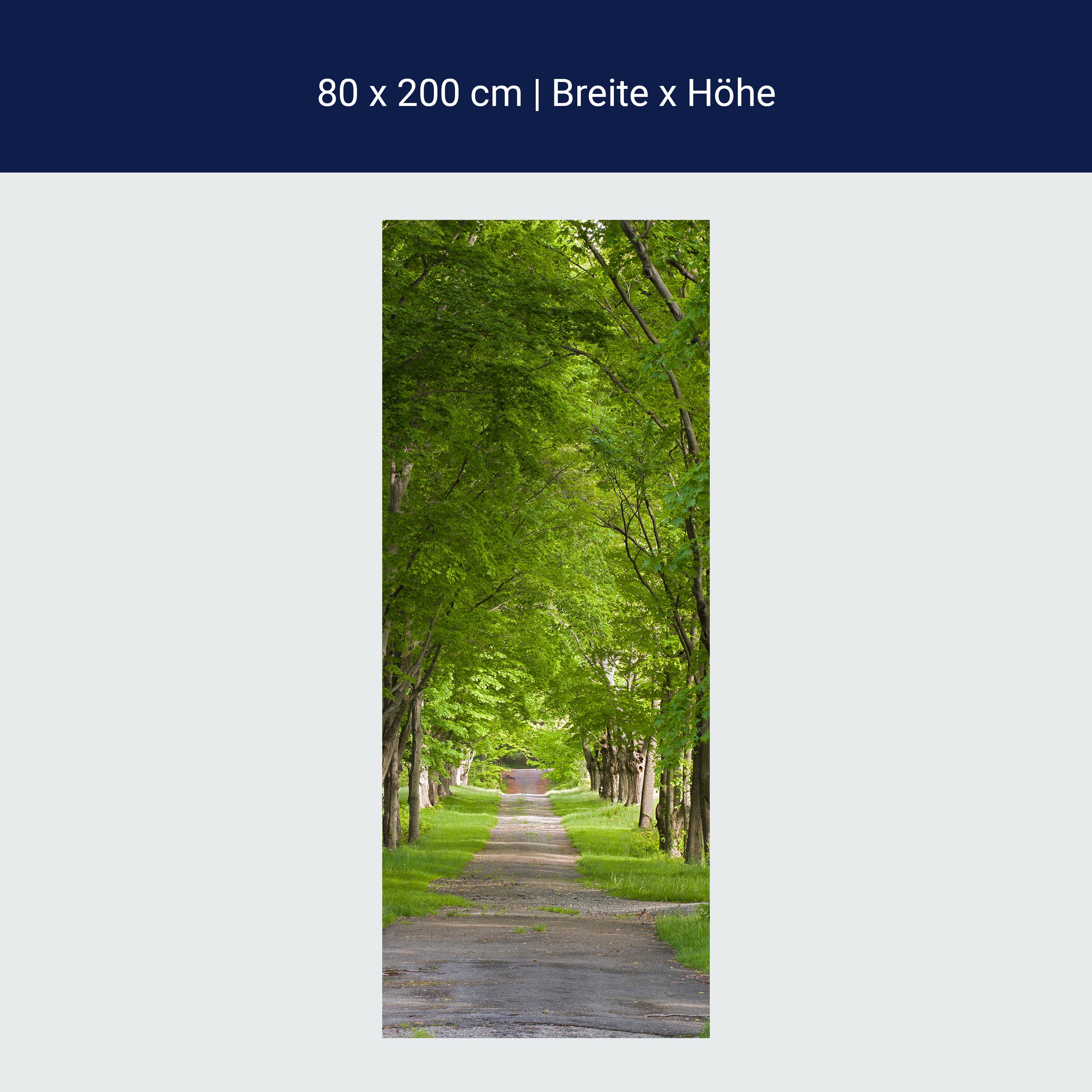 Türtapete Sommerallee M0357 Türtapete Sommerallee M0357