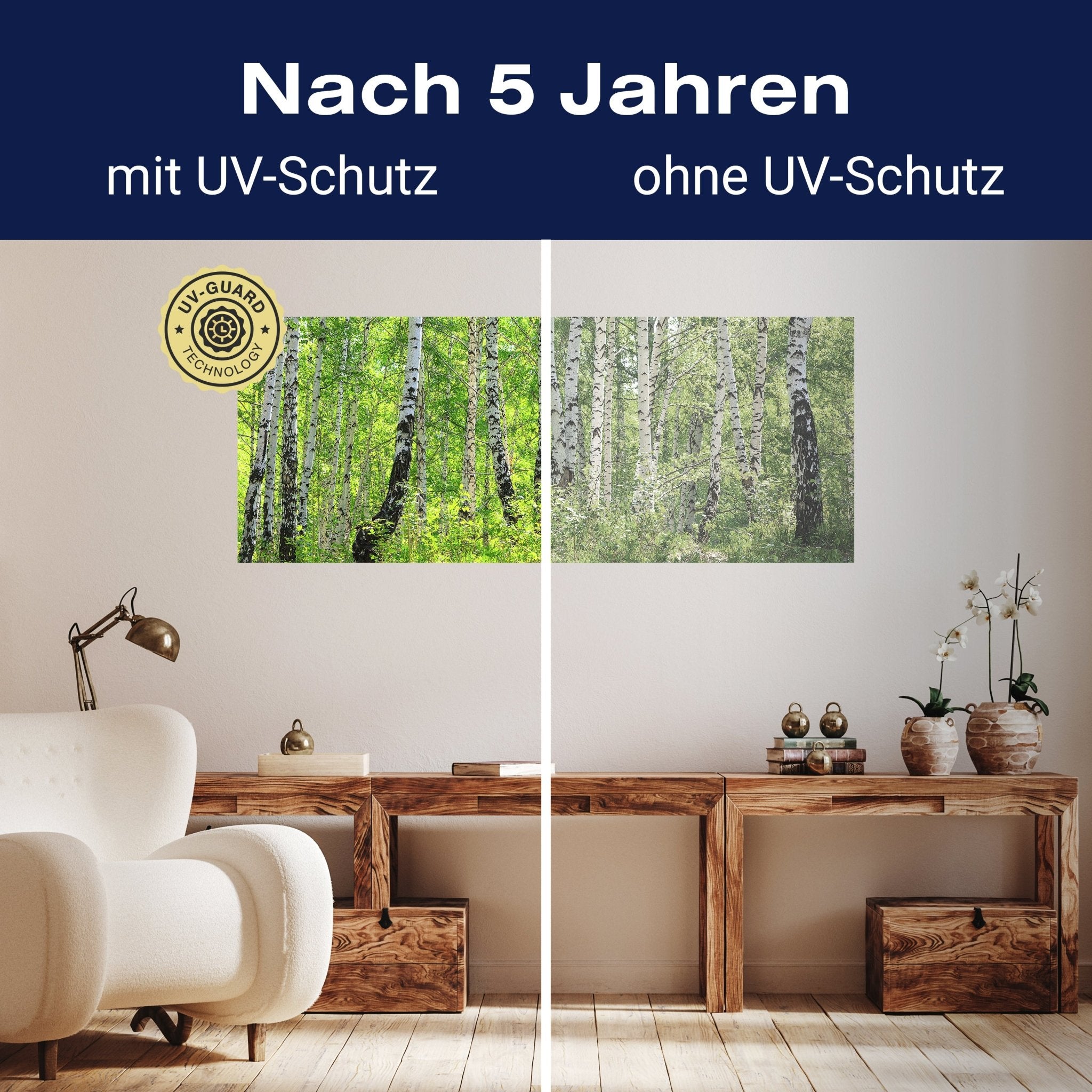 Leinwandbild Birkenwald M0363 kaufen - Bild 9 Leinwandbild Birkenwald M0363 kaufen - Bild 9