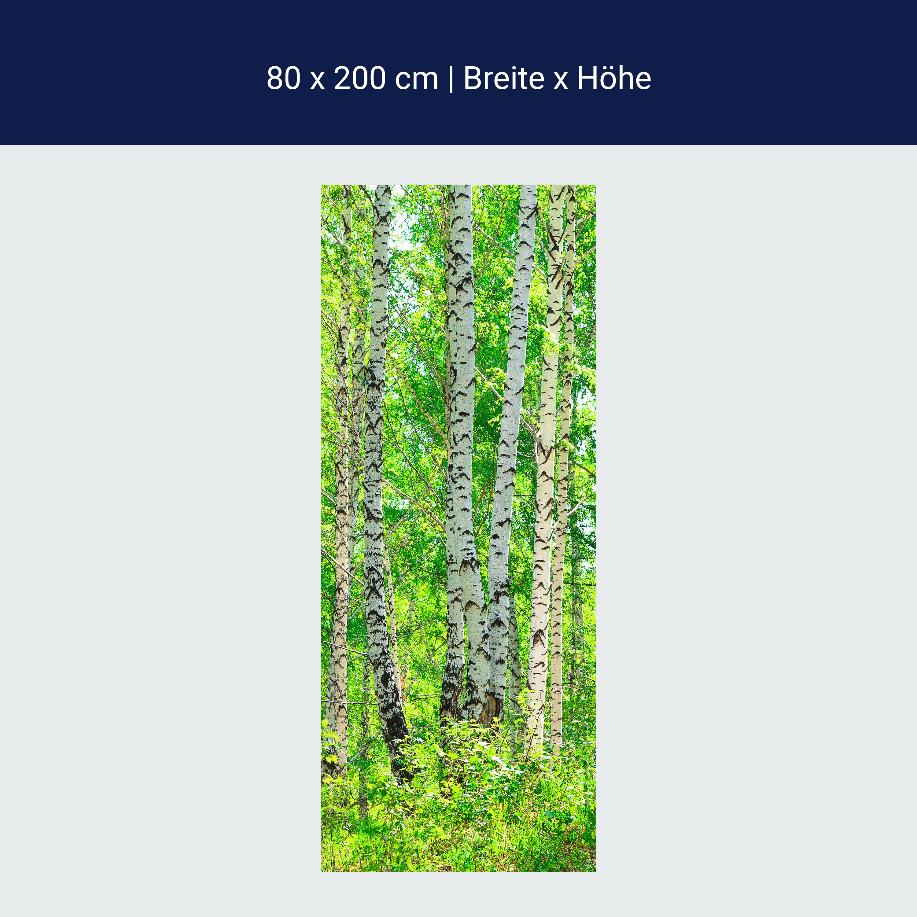 Türtapete Birkenwald M0363 Türtapete Birkenwald M0363