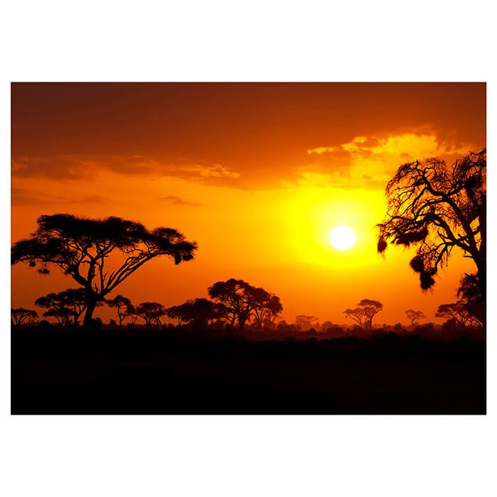 Fototapete Steppe Sonnenuntergang M0367 - Bild 2 Fototapete Steppe Sonnenuntergang M0367 - Bild 2