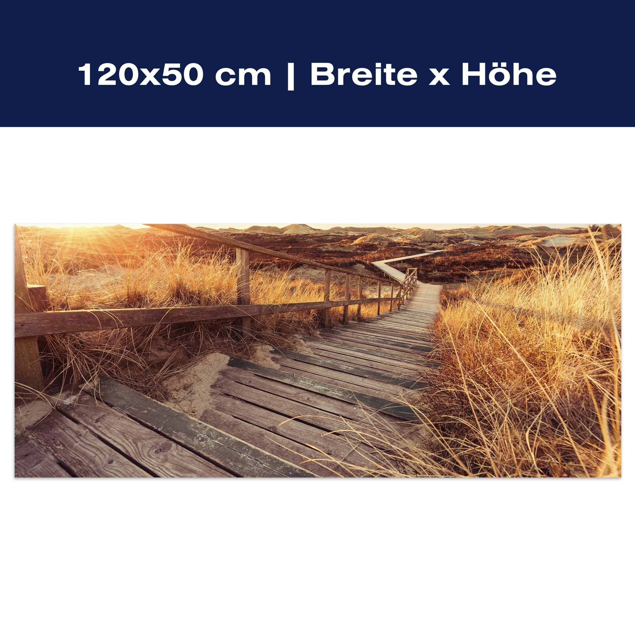 Leinwandbild Treppe in Dünen M0373 Leinwandbild Treppe in Dünen M0373