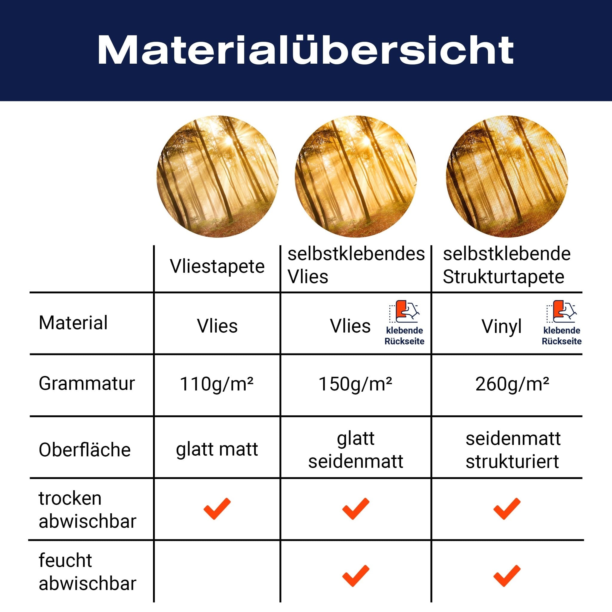 Fototapete Wald am Morgen M0391 - Bild 8 Fototapete Wald am Morgen M0391 - Bild 8