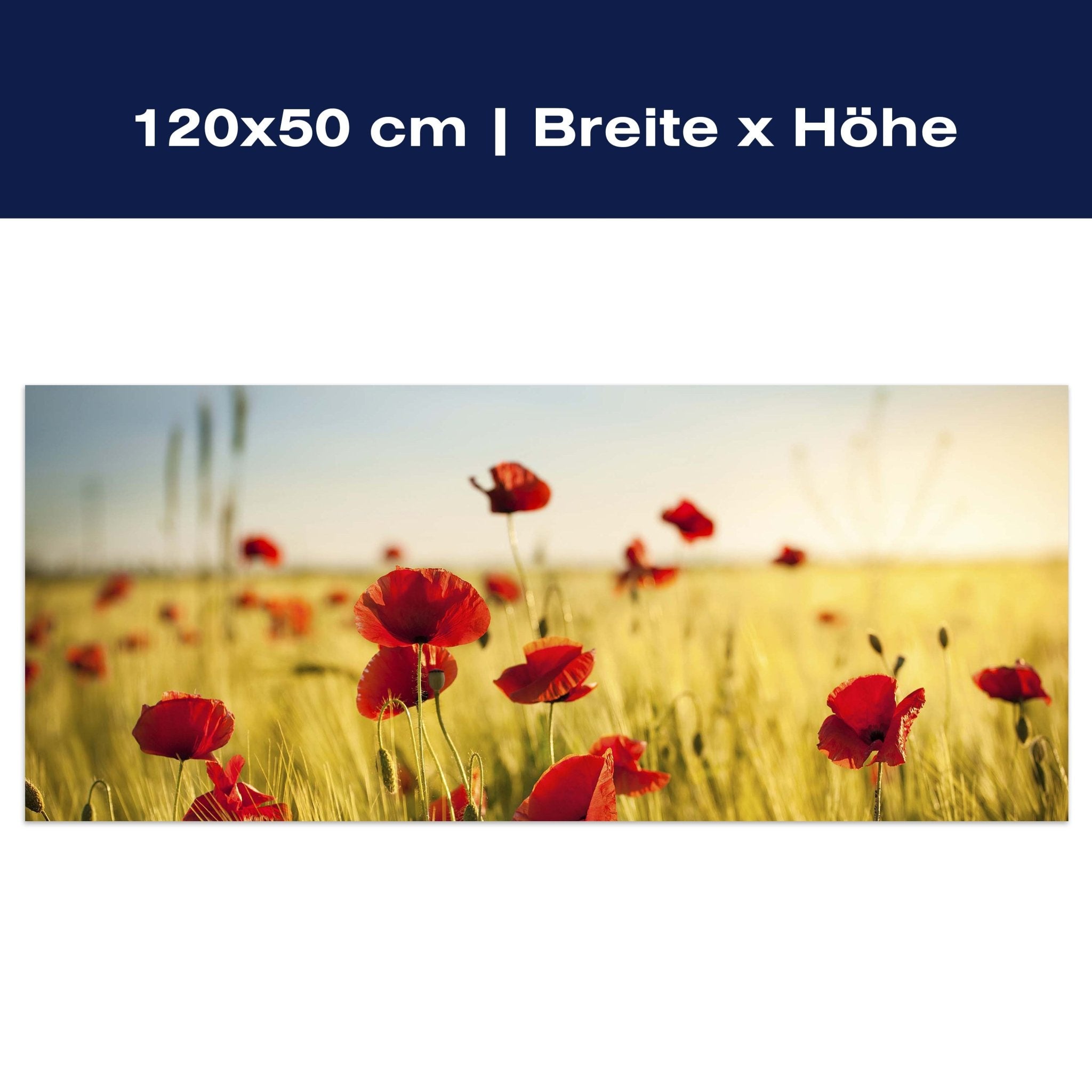 Leinwandbild Kornfeld mit Mohnblumen M0398 Leinwandbild Kornfeld mit Mohnblumen M0398