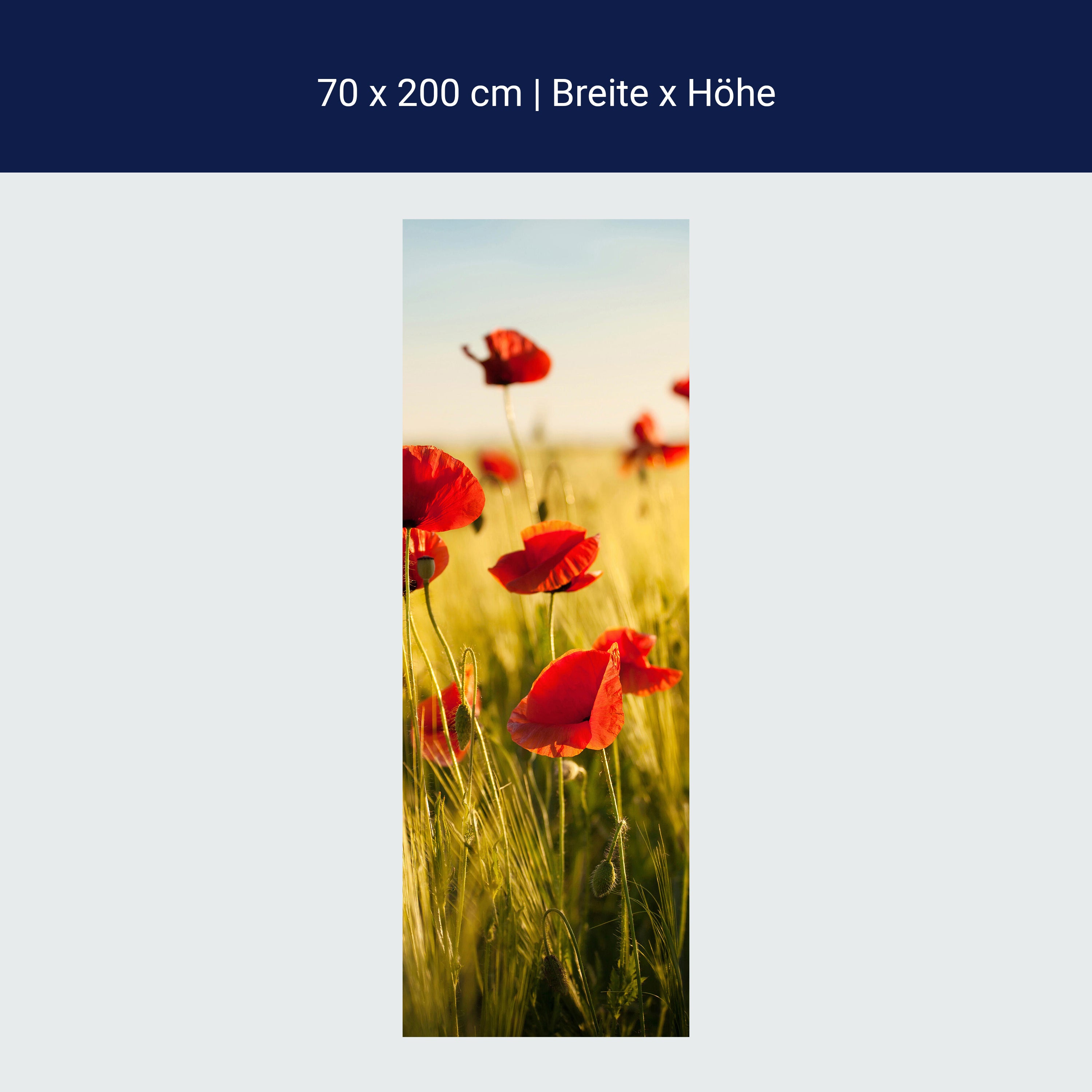 Türtapete Kornfeld mit Mohnblumen M0398 Türtapete Kornfeld mit Mohnblumen M0398