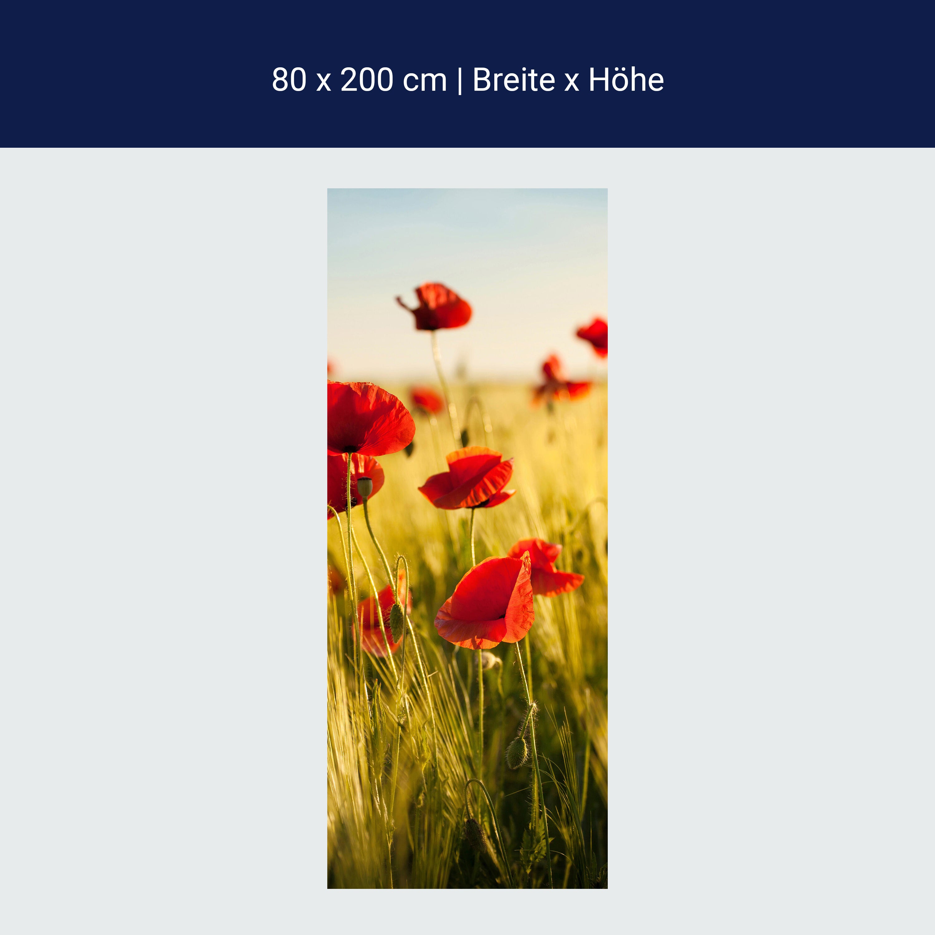 Türtapete Kornfeld mit Mohnblumen M0398 Türtapete Kornfeld mit Mohnblumen M0398