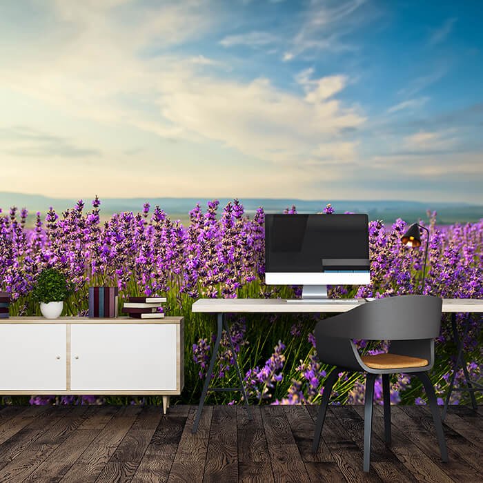 Fototapete Lavendel M0411 - Bild 1 Fototapete Lavendel M0411 - Bild 1